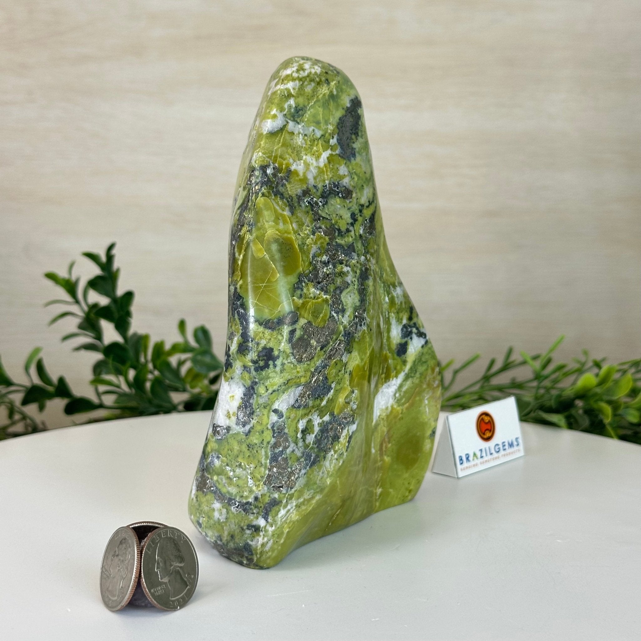 Polished Freeform Serpentine Stone Model #3301SE-002 by