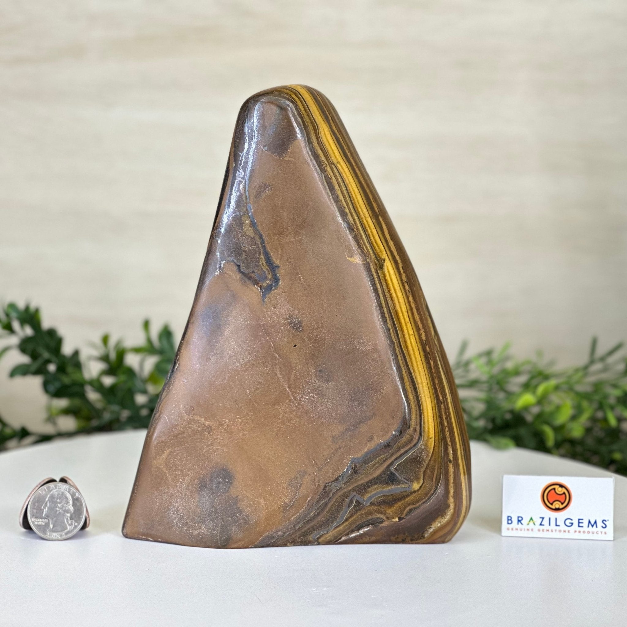 Polished Freeform Tiger's Eye Gemstone, 4.4 lbs & 7.6” Tall #3301TE - 001 - Brazil GemsBrazil GemsPolished Freeform Tiger's Eye Gemstone, 4.4 lbs & 7.6” Tall #3301TE - 001Freeform & Unique Shapes3301TE - 001