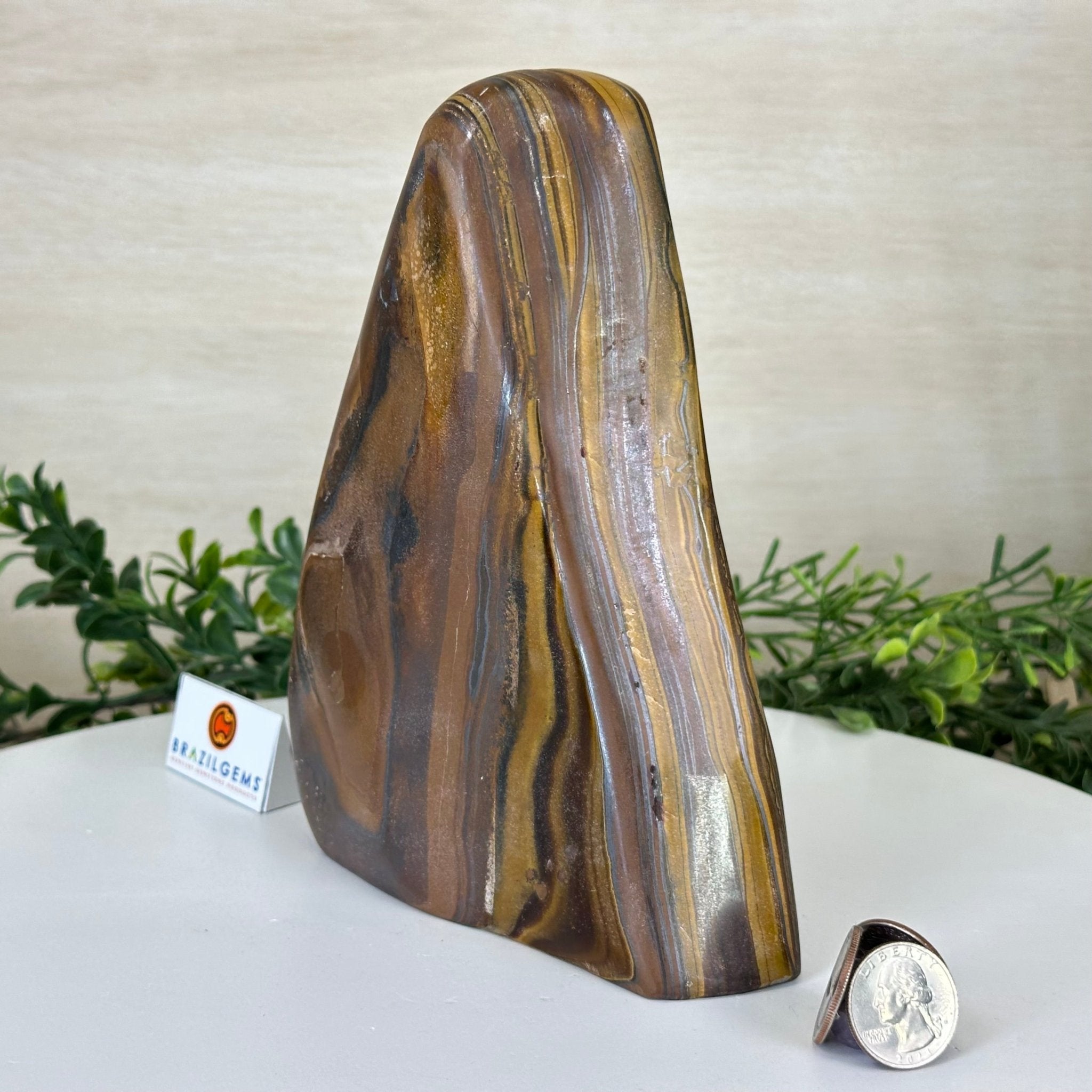 Polished Freeform Tiger's Eye Gemstone, 4.4 lbs & 7.6” Tall #3301TE - 001 - Brazil GemsBrazil GemsPolished Freeform Tiger's Eye Gemstone, 4.4 lbs & 7.6” Tall #3301TE - 001Freeform & Unique Shapes3301TE - 001
