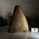 Polished Freeform Tiger's Eye Gemstone, 4.4 lbs & 7.6” Tall #3301TE - 001 - Brazil GemsBrazil GemsPolished Freeform Tiger's Eye Gemstone, 4.4 lbs & 7.6” Tall #3301TE - 001Freeform & Unique Shapes3301TE - 001