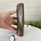 Polished Freeform Tiger's Eye Gemstone, 4.4 lbs & 7.6” Tall #3301TE - 001 - Brazil GemsBrazil GemsPolished Freeform Tiger's Eye Gemstone, 4.4 lbs & 7.6” Tall #3301TE - 001Freeform & Unique Shapes3301TE - 001