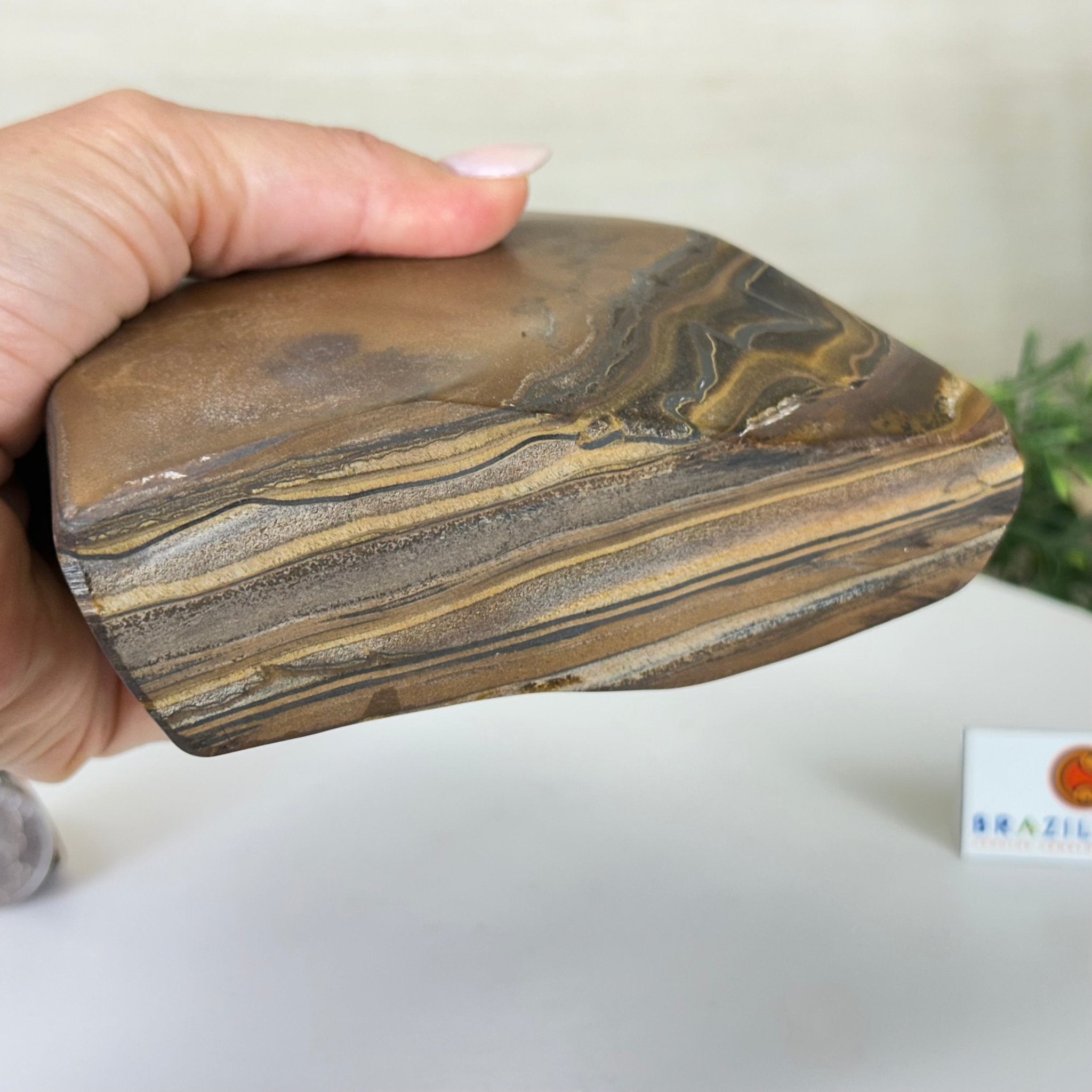 Polished Freeform Tiger's Eye Gemstone, 4.4 lbs & 7.6” Tall #3301TE - 001 - Brazil GemsBrazil GemsPolished Freeform Tiger's Eye Gemstone, 4.4 lbs & 7.6” Tall #3301TE - 001Freeform & Unique Shapes3301TE - 001
