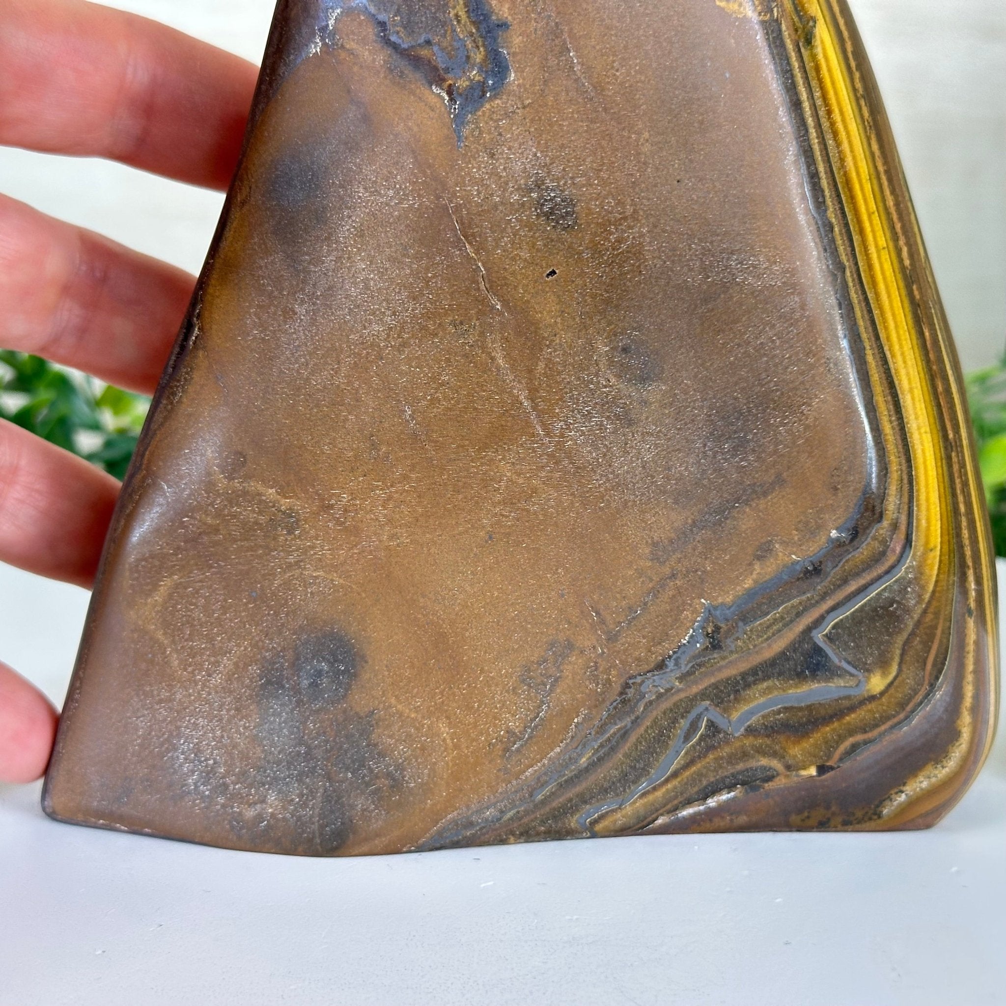 Polished Freeform Tiger's Eye Gemstone, 4.4 lbs & 7.6” Tall #3301TE - 001 - Brazil GemsBrazil GemsPolished Freeform Tiger's Eye Gemstone, 4.4 lbs & 7.6” Tall #3301TE - 001Freeform & Unique Shapes3301TE - 001