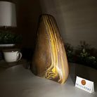 Polished Freeform Tiger's Eye Gemstone, 4.4 lbs & 7.6” Tall #3301TE - 001 - Brazil GemsBrazil GemsPolished Freeform Tiger's Eye Gemstone, 4.4 lbs & 7.6” Tall #3301TE - 001Freeform & Unique Shapes3301TE - 001