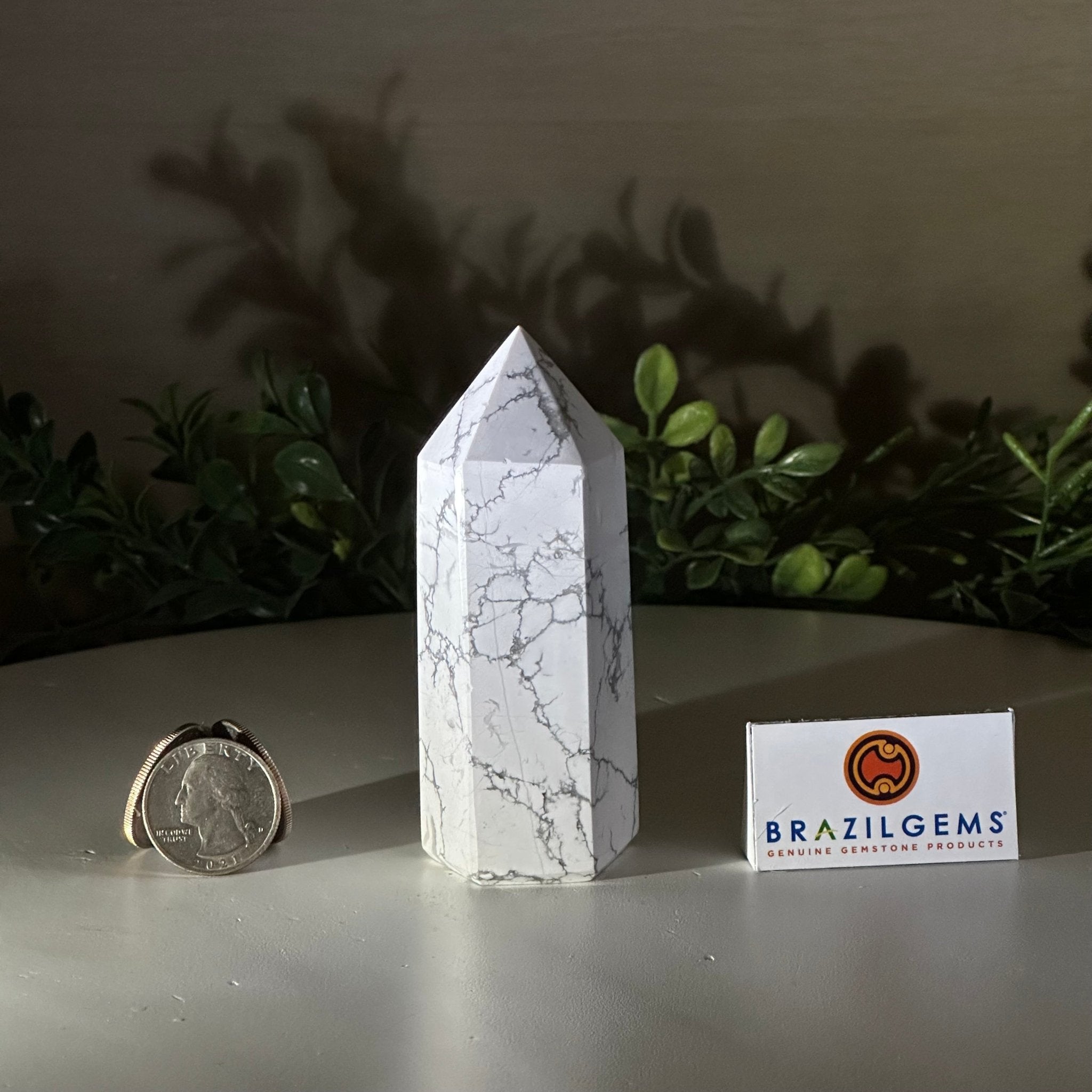 Polished Howlite Crystal Tower 3.7" Tall #3106HW - 001 - Brazil GemsBrazil GemsPolished Howlite Crystal Tower 3.7" Tall #3106HW - 001Crystal Points3106HW - 001