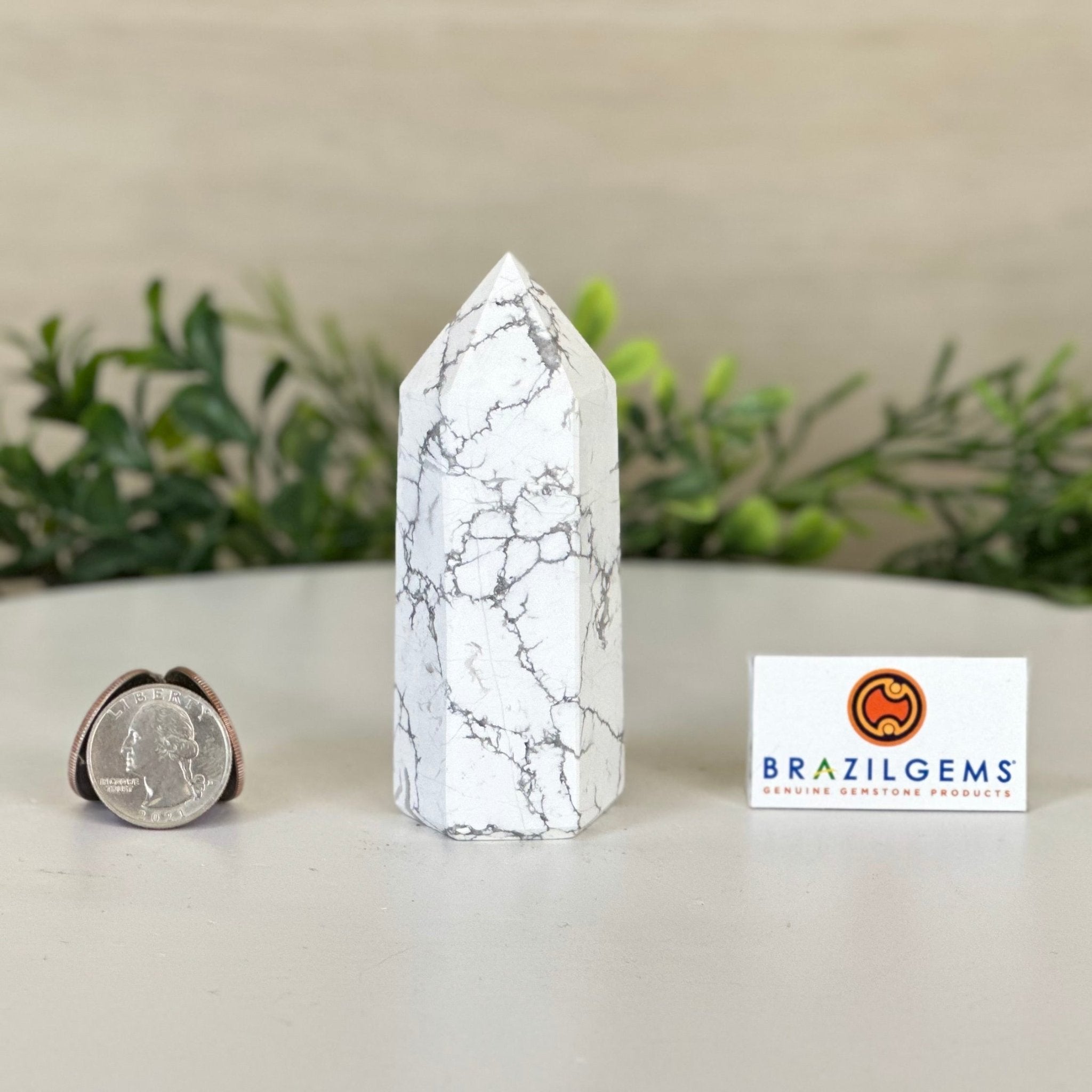 Polished Howlite Crystal Tower 3.7" Tall #3106HW - 001 - Brazil GemsBrazil GemsPolished Howlite Crystal Tower 3.7" Tall #3106HW - 001Crystal Points3106HW - 001