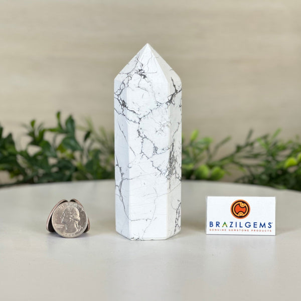 Howlite Points