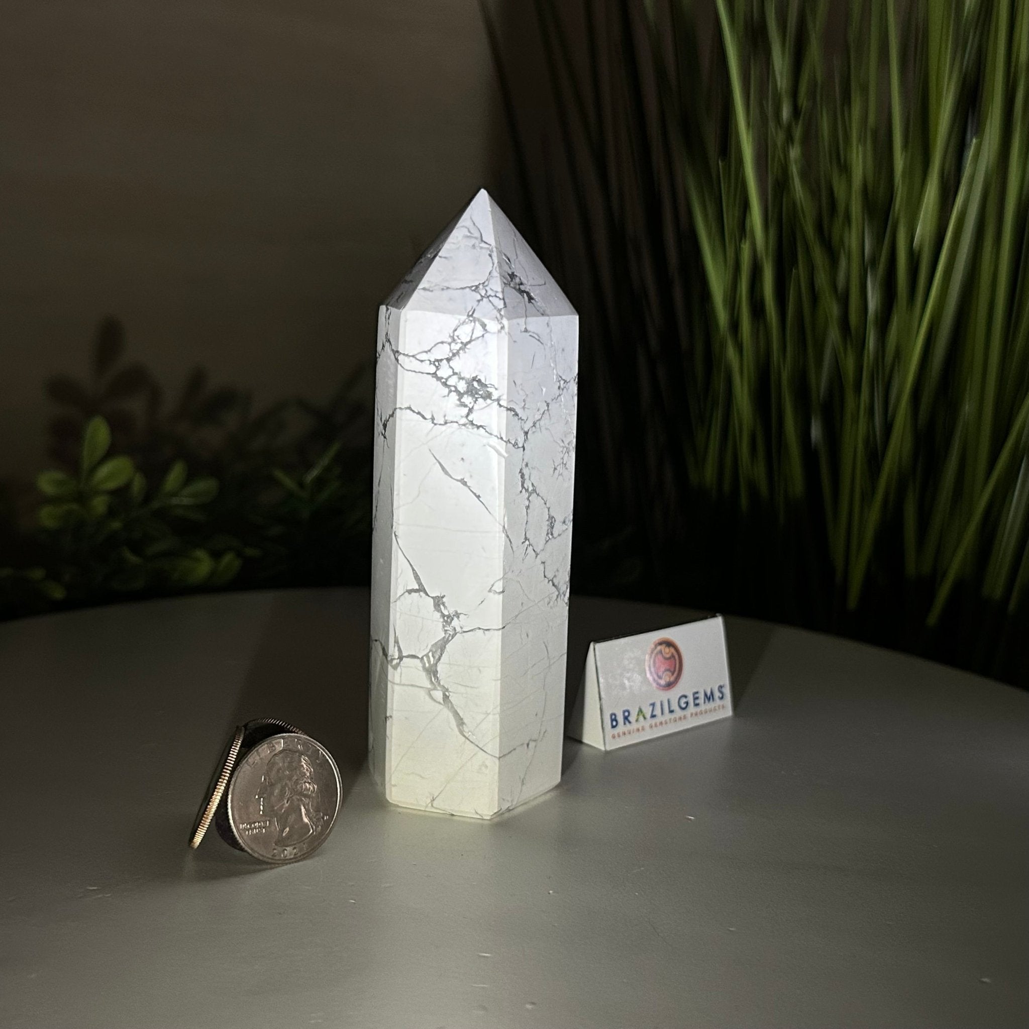 Polished Howlite Crystal Tower by Brazil Gems® Model #3106HW-003
