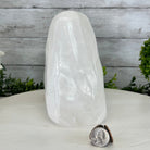 Polished Milky Quartz Crystal Night Light, 4.6 lbs & 6.7" Tall #5801MQ-001 - Brazil GemsBrazil GemsPolished Milky Quartz Crystal Night Light, 4.6 lbs & 6.7" Tall #5801MQ-001Night Lights5801MQ-001