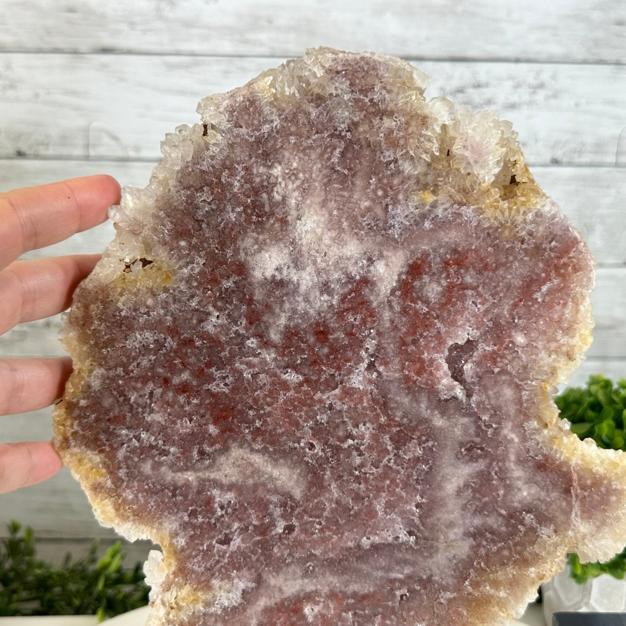 Polished Pink Amethyst Slice on a Stand, 4.4 lbs & 12.1" Tall #5743-0025 - Brazil GemsBrazil GemsPolished Pink Amethyst Slice on a Stand, 4.4 lbs & 12.1" Tall #5743-0025Slices on Fixed Bases5743-0025
