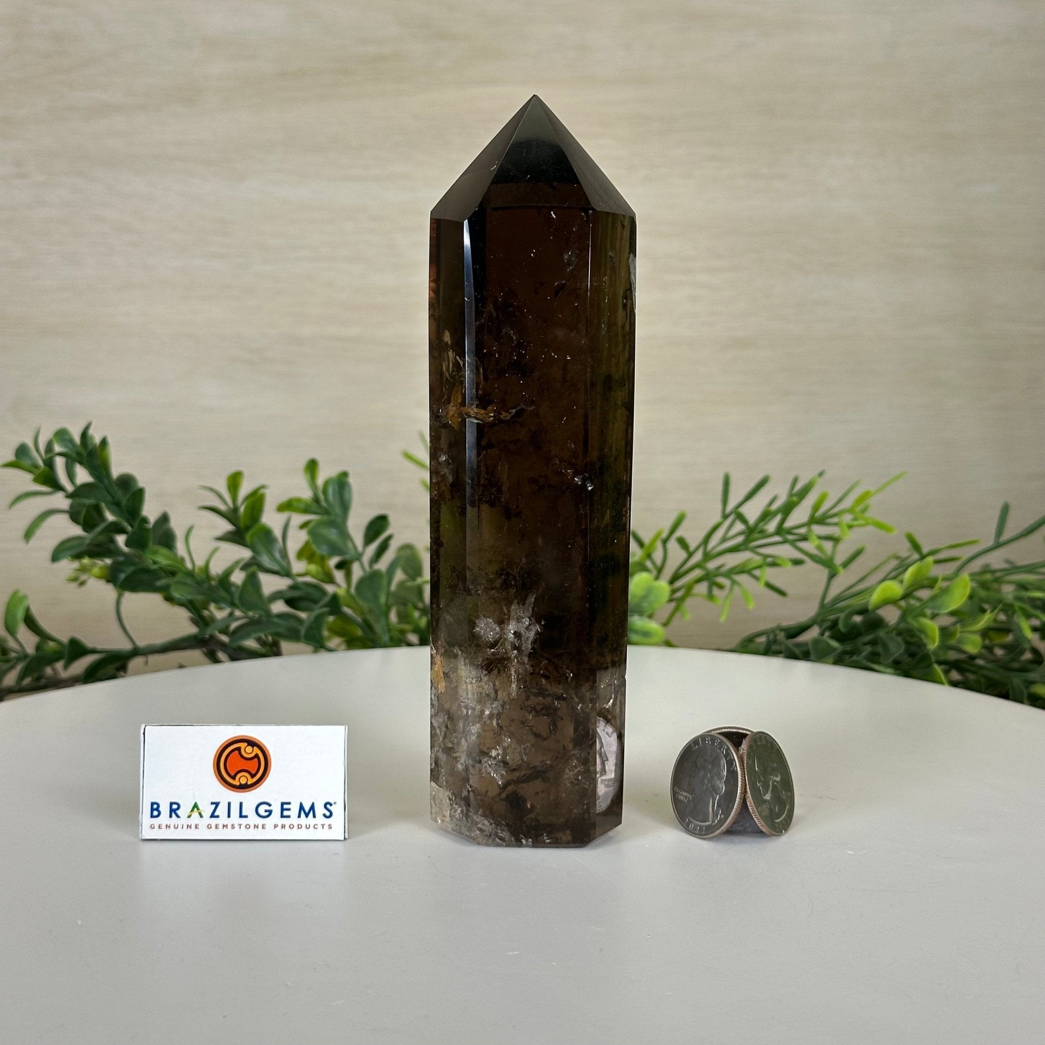 Polished Smoky Quartz Crystal Tower 6.6" Tall #3106SQ - 002 - Brazil GemsBrazil GemsPolished Smoky Quartz Crystal Tower 6.6" Tall #3106SQ - 002Crystal Points3106SQ - 002