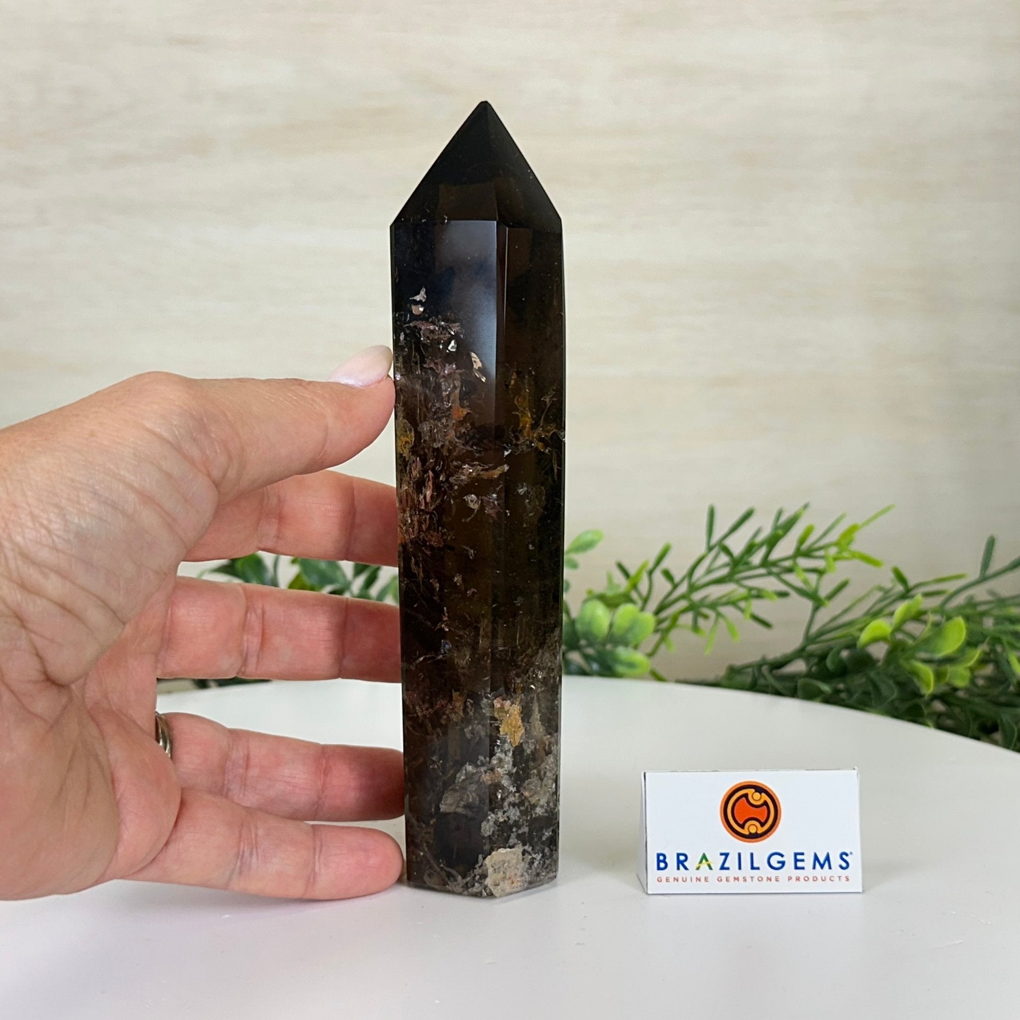 Polished Smoky Quartz Crystal Tower 6.6" Tall #3106SQ - 002 - Brazil GemsBrazil GemsPolished Smoky Quartz Crystal Tower 6.6" Tall #3106SQ - 002Crystal Points3106SQ - 002
