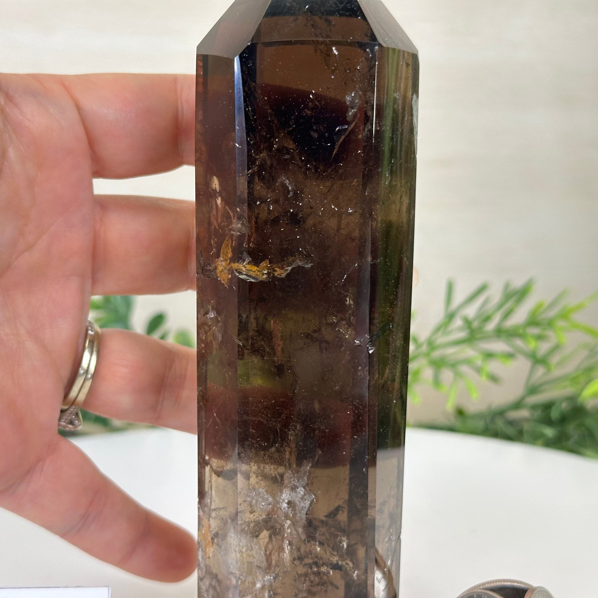 Polished Smoky Quartz Crystal Tower 6.6" Tall #3106SQ - 002 - Brazil GemsBrazil GemsPolished Smoky Quartz Crystal Tower 6.6" Tall #3106SQ - 002Crystal Points3106SQ - 002