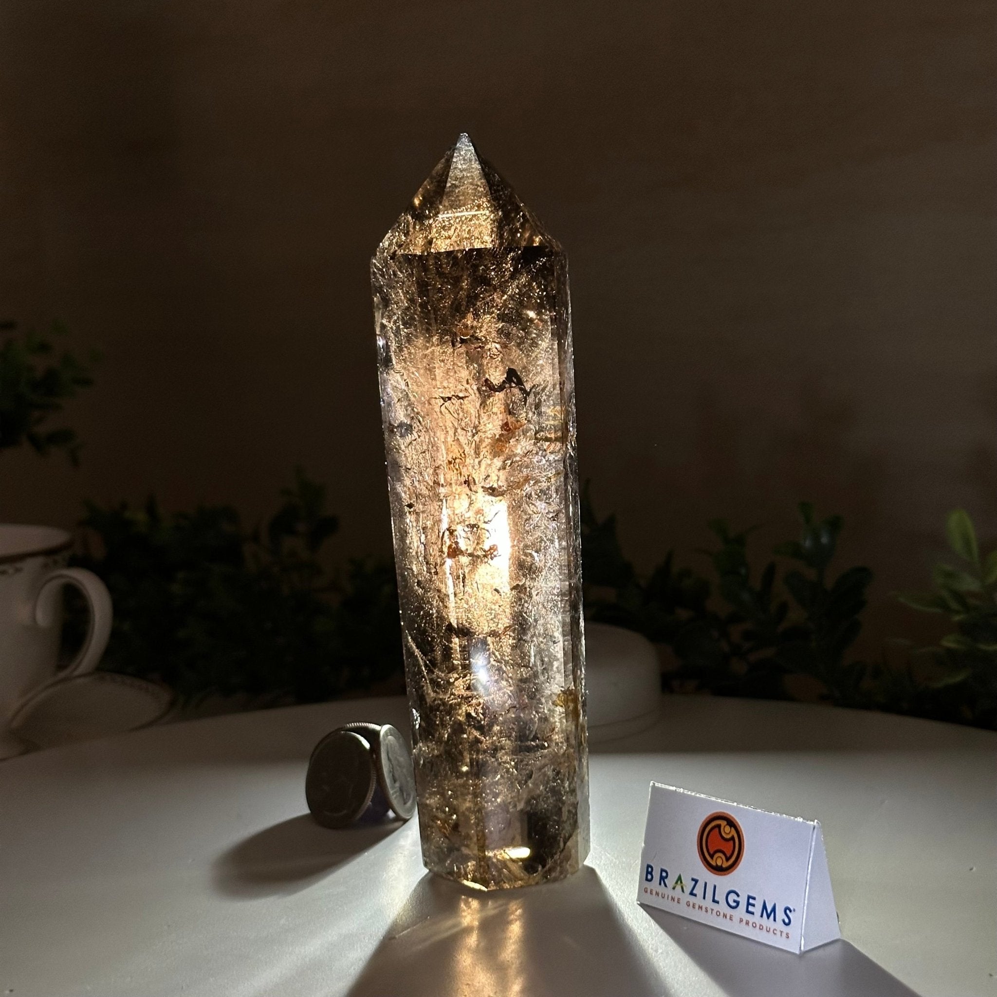 Polished Smoky Quartz Crystal Tower 6.6" Tall #3106SQ - 002 - Brazil GemsBrazil GemsPolished Smoky Quartz Crystal Tower 6.6" Tall #3106SQ - 002Crystal Points3106SQ - 002