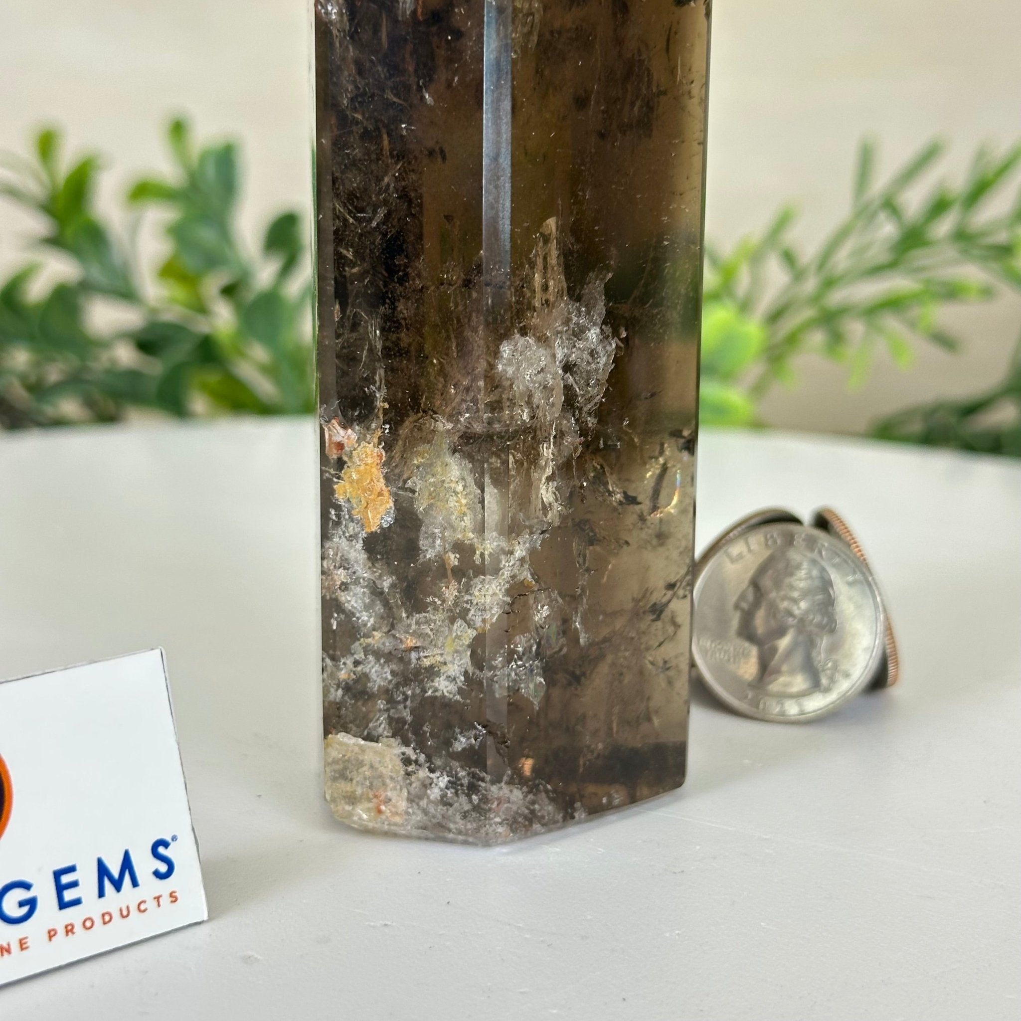 Polished Smoky Quartz Crystal Tower 6.6" Tall #3106SQ - 002 - Brazil GemsBrazil GemsPolished Smoky Quartz Crystal Tower 6.6" Tall #3106SQ - 002Crystal Points3106SQ - 002
