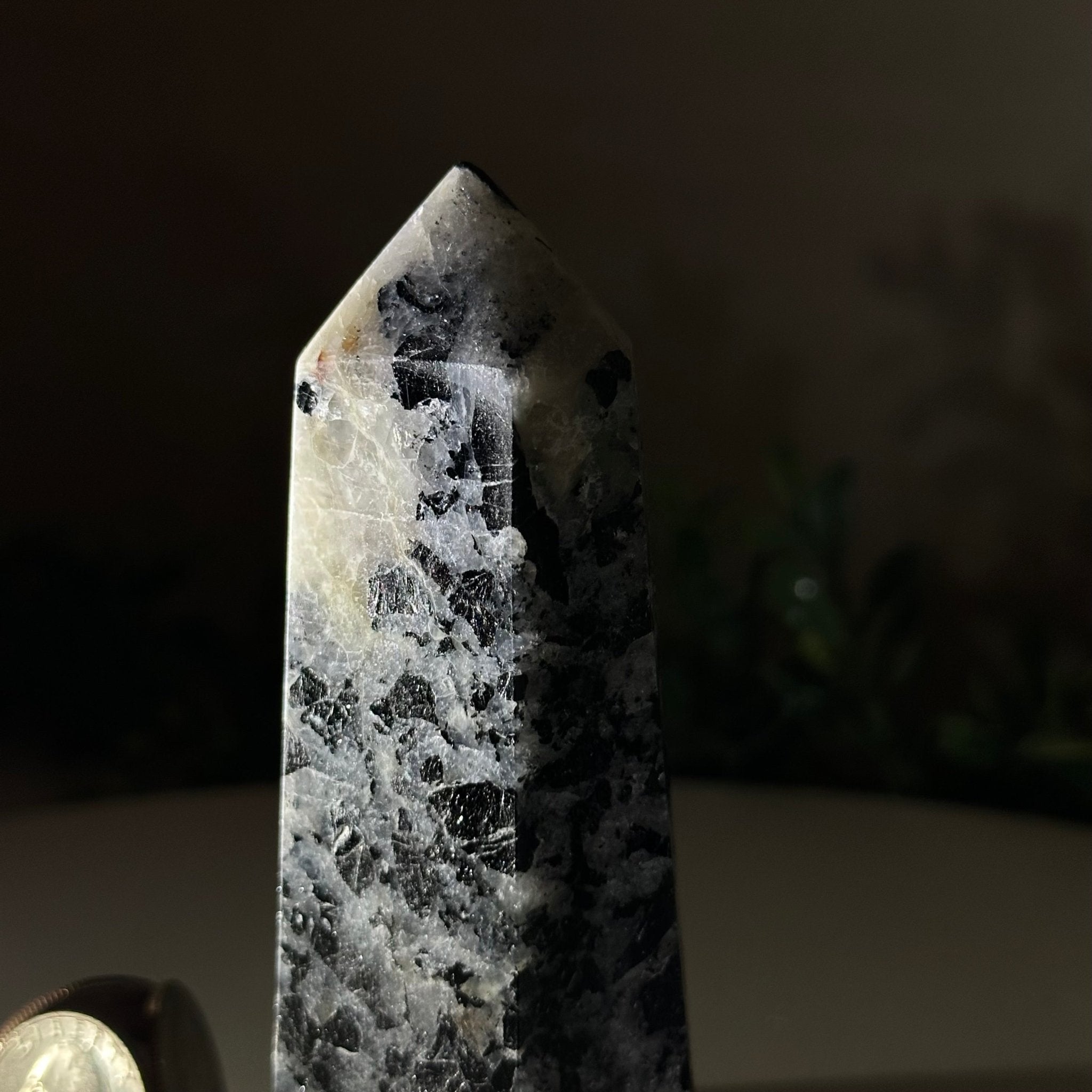 Polished Tourmalinated Quartz Crystal Tower 4.5" Tall Model #3106TQ - 001 - Brazil GemsBrazil GemsPolished Tourmalinated Quartz Crystal Tower 4.5" Tall Model #3106TQ - 001Crystal Points3106TQ - 001