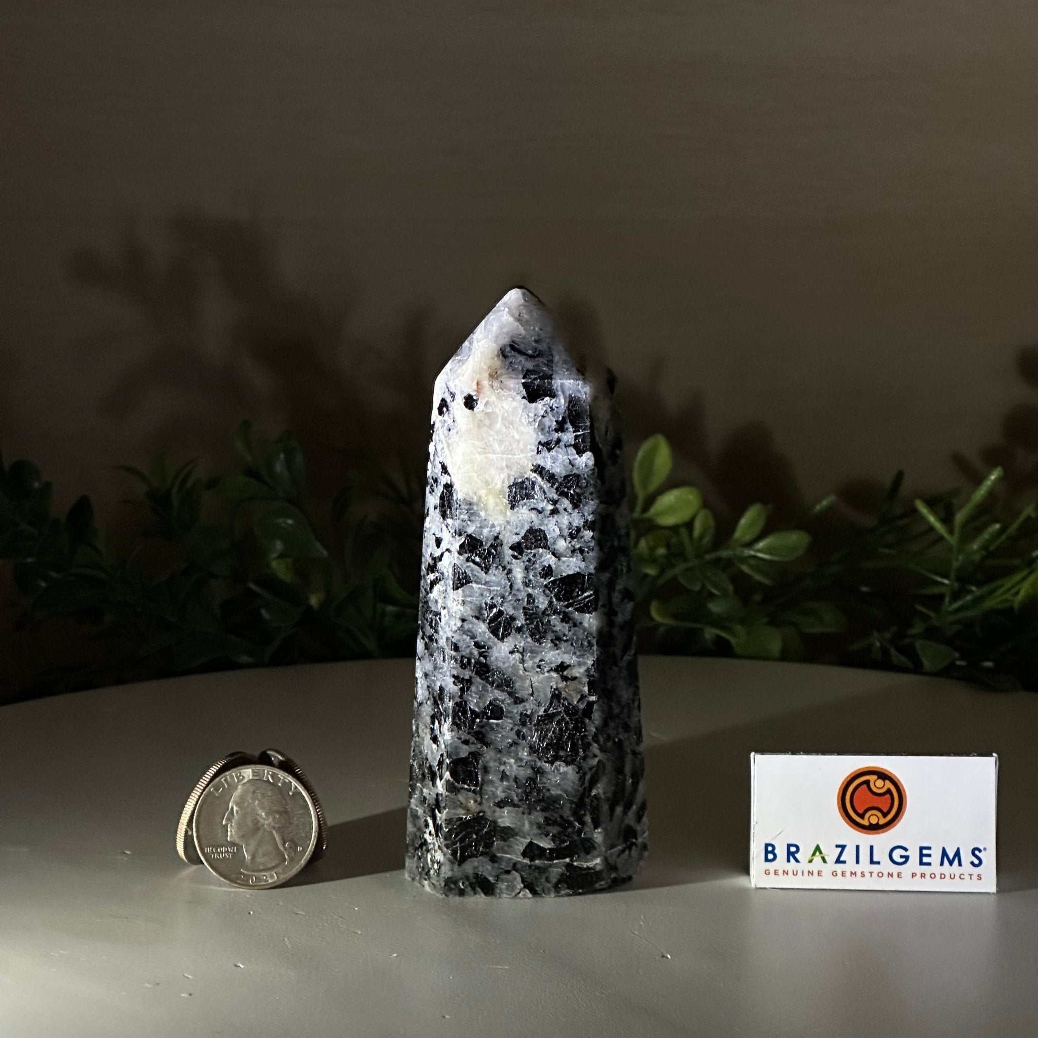 Polished Tourmalinated Quartz Crystal Tower 4.5" Tall Model #3106TQ - 001 - Brazil GemsBrazil GemsPolished Tourmalinated Quartz Crystal Tower 4.5" Tall Model #3106TQ - 001Crystal Points3106TQ - 001