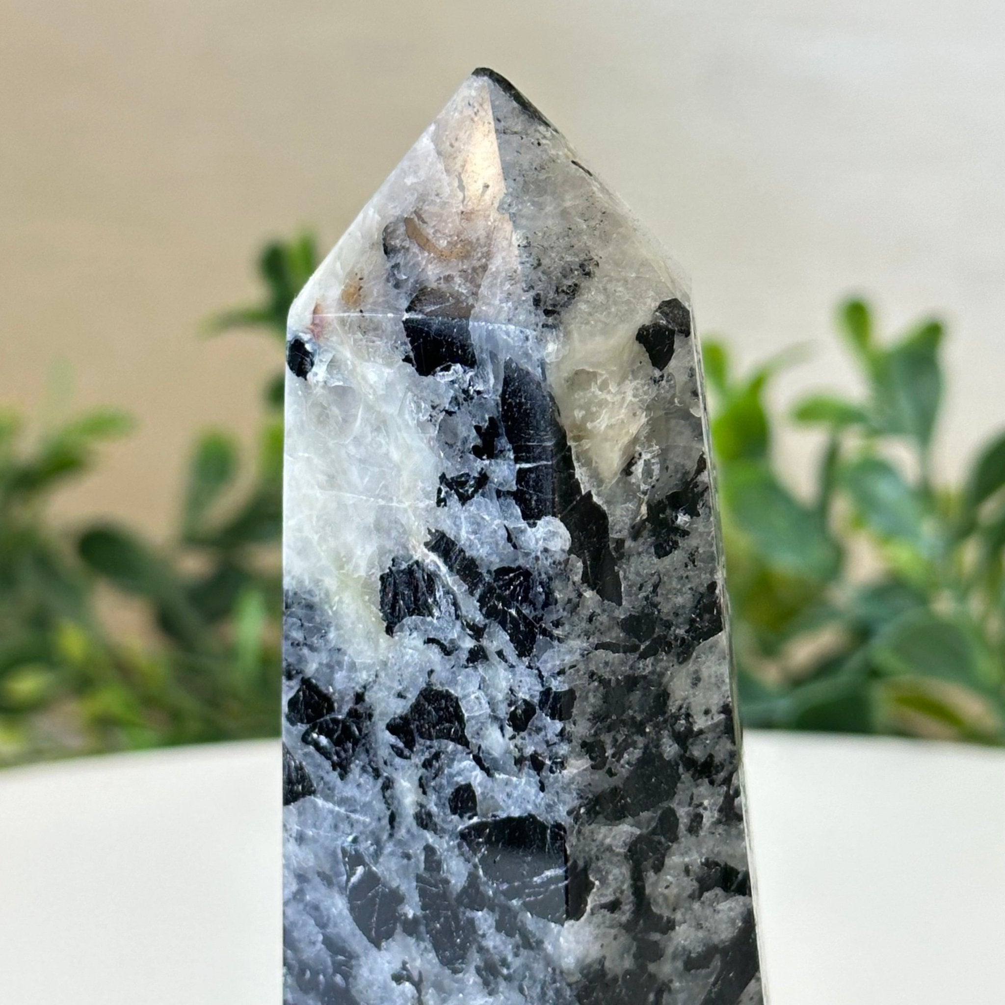 Polished Tourmalinated Quartz Crystal Tower 4.5" Tall Model #3106TQ - 001 - Brazil GemsBrazil GemsPolished Tourmalinated Quartz Crystal Tower 4.5" Tall Model #3106TQ - 001Crystal Points3106TQ - 001