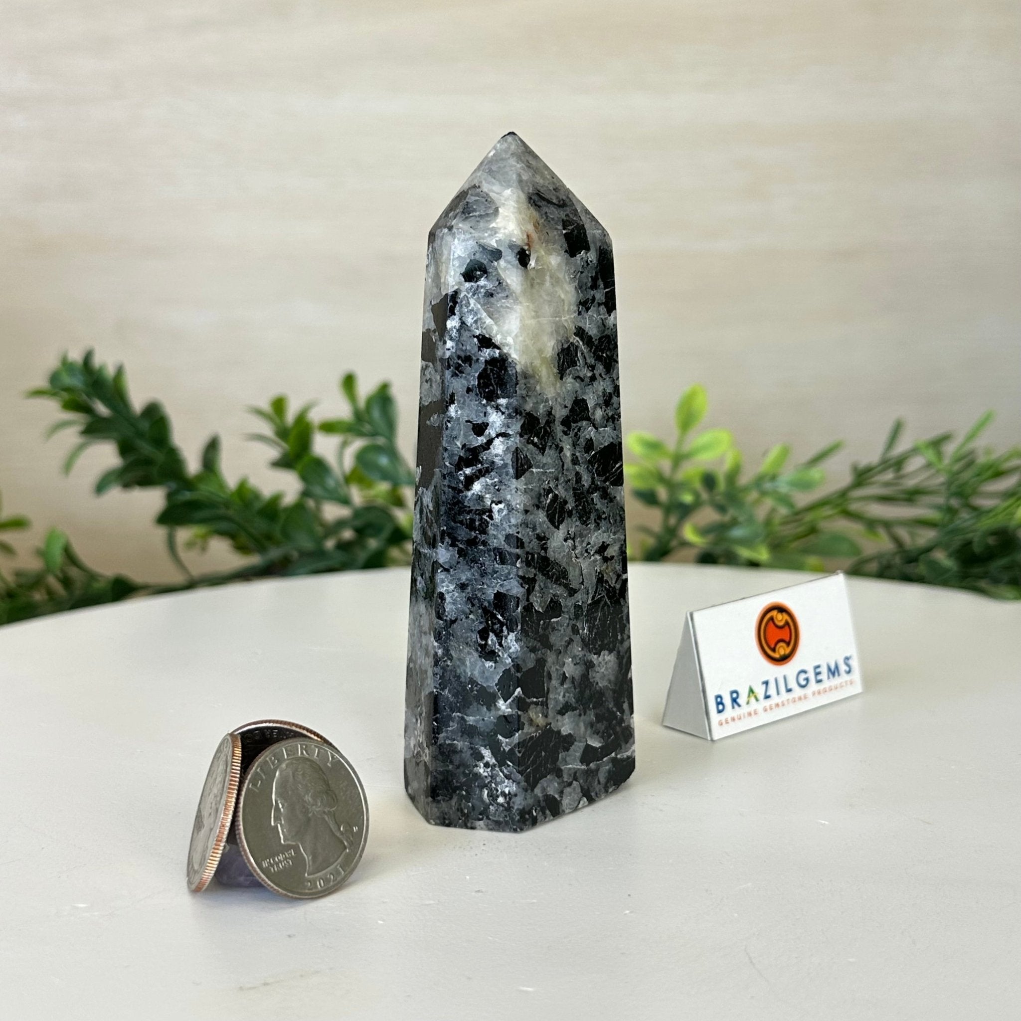 Polished Tourmalinated Quartz Crystal Tower 4.5" Tall Model #3106TQ - 001 - Brazil GemsBrazil GemsPolished Tourmalinated Quartz Crystal Tower 4.5" Tall Model #3106TQ - 001Crystal Points3106TQ - 001