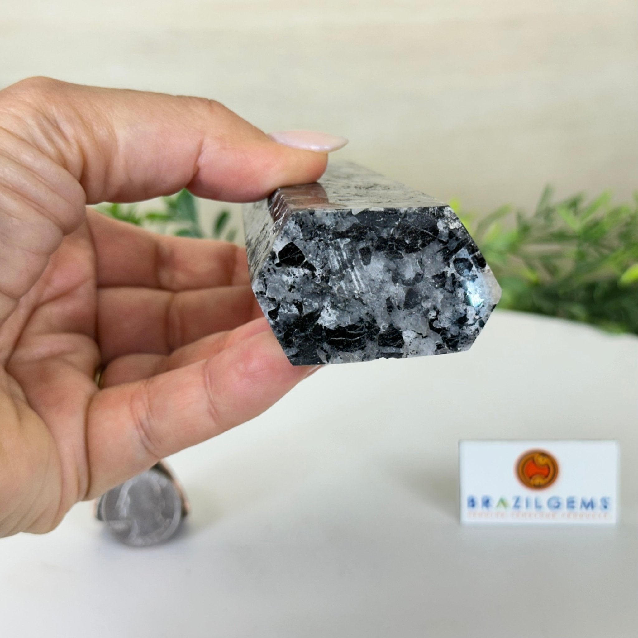 Polished Tourmalinated Quartz Crystal Tower 4.5" Tall Model #3106TQ - 001 - Brazil GemsBrazil GemsPolished Tourmalinated Quartz Crystal Tower 4.5" Tall Model #3106TQ - 001Crystal Points3106TQ - 001