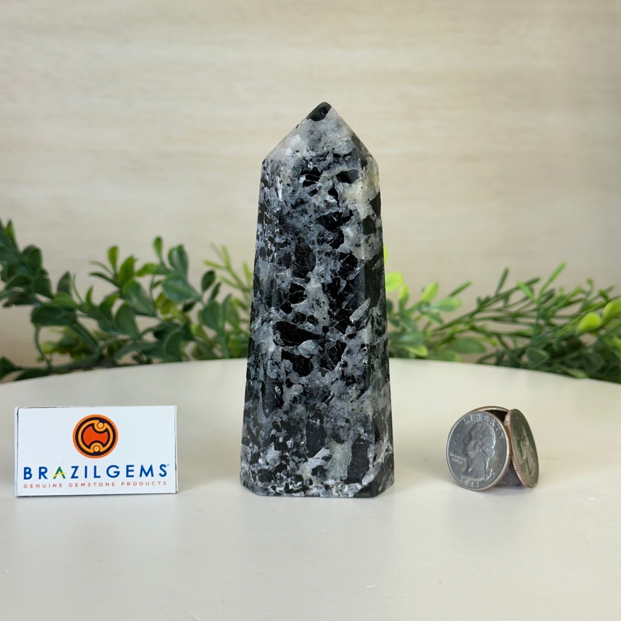 Polished Tourmalinated Quartz Crystal Tower 4.5" Tall Model #3106TQ - 001 - Brazil GemsBrazil GemsPolished Tourmalinated Quartz Crystal Tower 4.5" Tall Model #3106TQ - 001Crystal Points3106TQ - 001