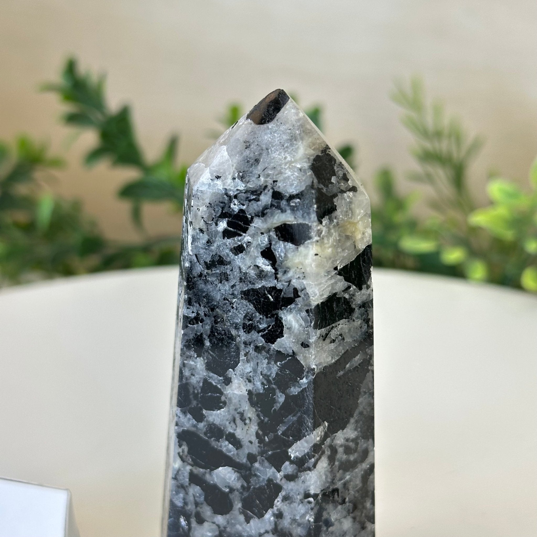 Polished Tourmalinated Quartz Crystal Tower 4.5" Tall Model #3106TQ - 001 - Brazil GemsBrazil GemsPolished Tourmalinated Quartz Crystal Tower 4.5" Tall Model #3106TQ - 001Crystal Points3106TQ - 001