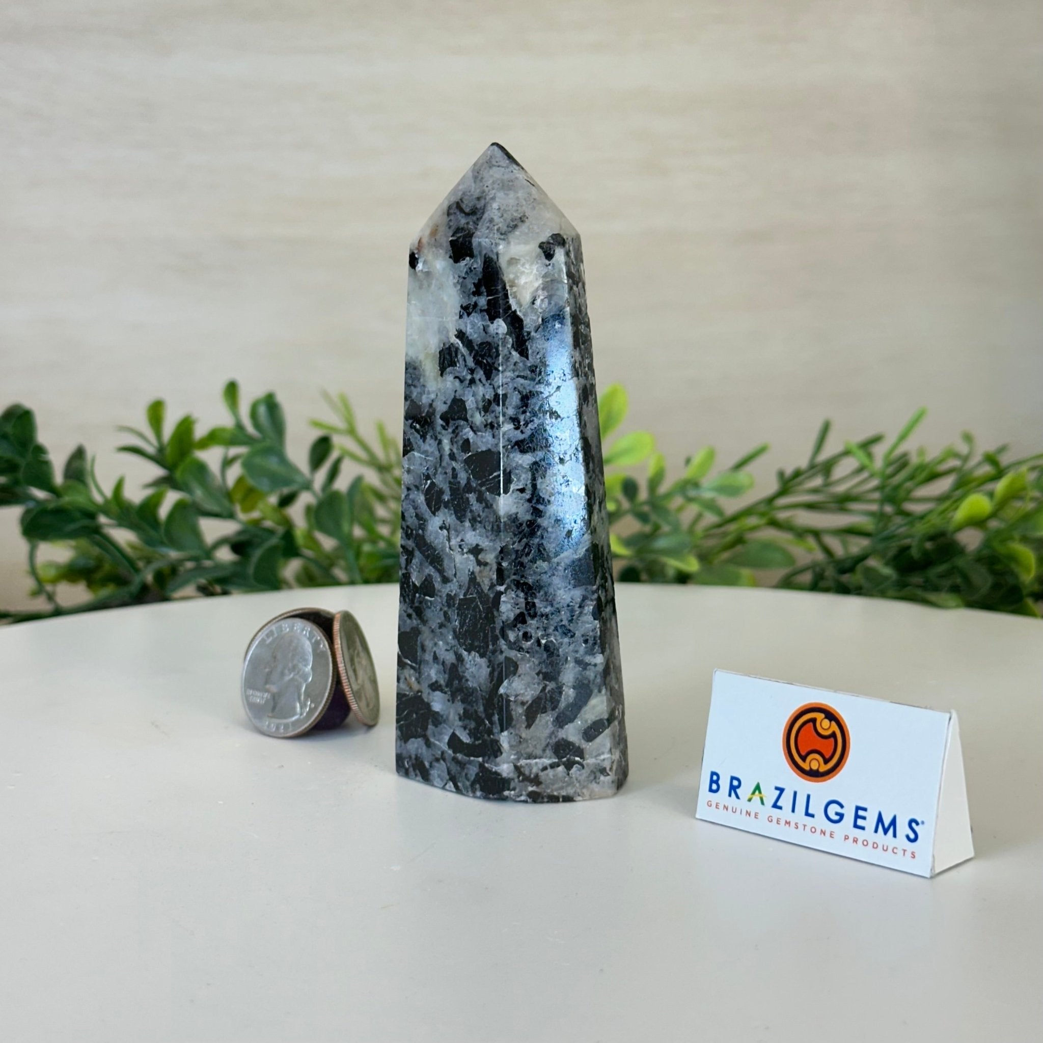 Polished Tourmalinated Quartz Crystal Tower 4.5" Tall Model #3106TQ - 001 - Brazil GemsBrazil GemsPolished Tourmalinated Quartz Crystal Tower 4.5" Tall Model #3106TQ - 001Crystal Points3106TQ - 001