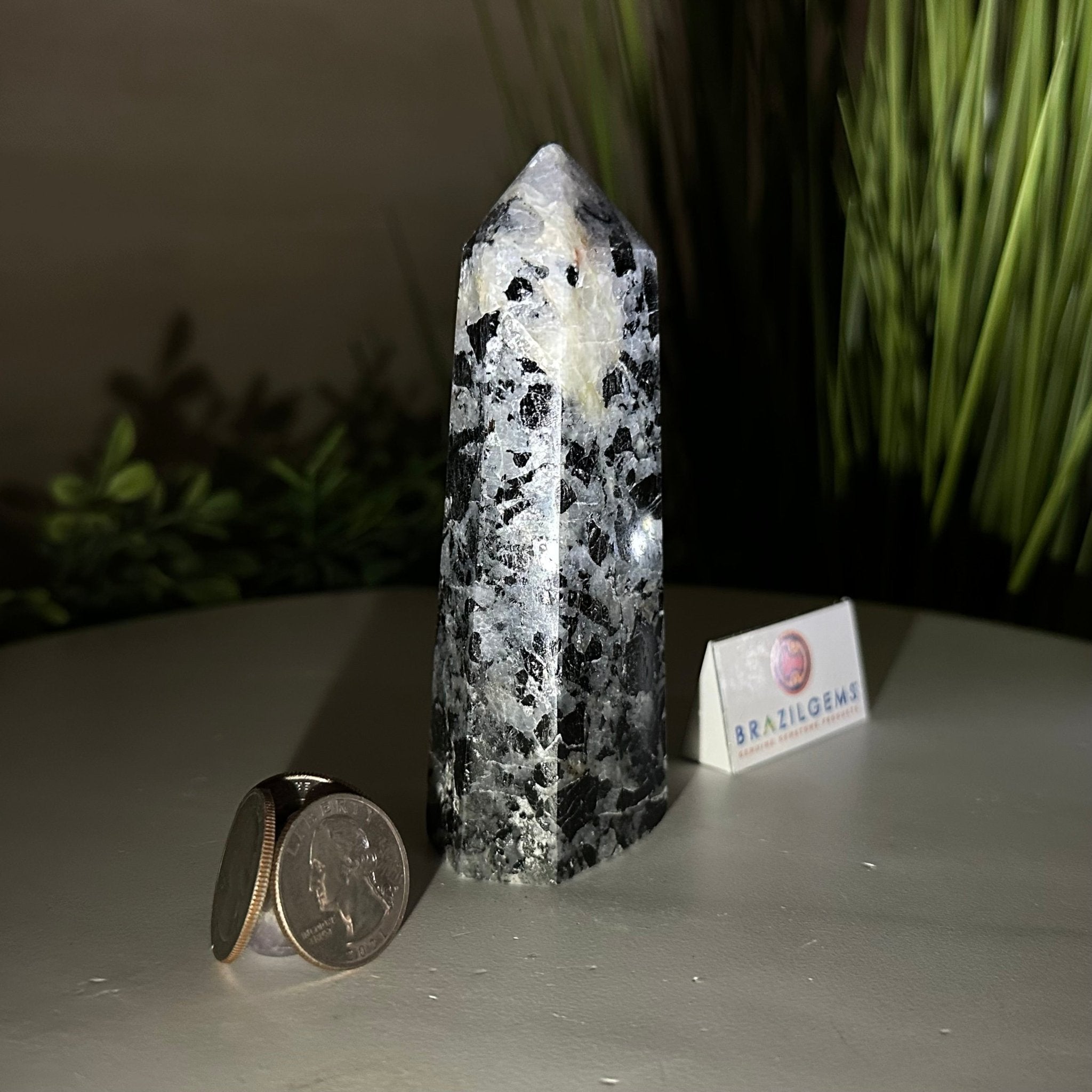 Polished Tourmalinated Quartz Crystal Tower 4.5" Tall Model #3106TQ - 001 - Brazil GemsBrazil GemsPolished Tourmalinated Quartz Crystal Tower 4.5" Tall Model #3106TQ - 001Crystal Points3106TQ - 001