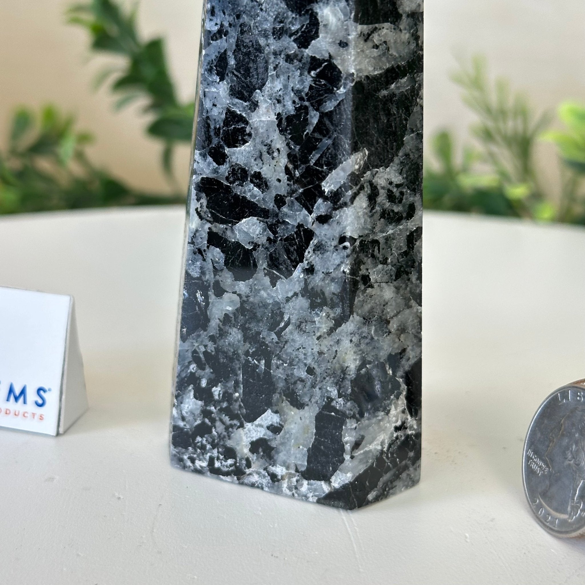 Polished Tourmalinated Quartz Crystal Tower 4.5" Tall Model #3106TQ - 001 - Brazil GemsBrazil GemsPolished Tourmalinated Quartz Crystal Tower 4.5" Tall Model #3106TQ - 001Crystal Points3106TQ - 001