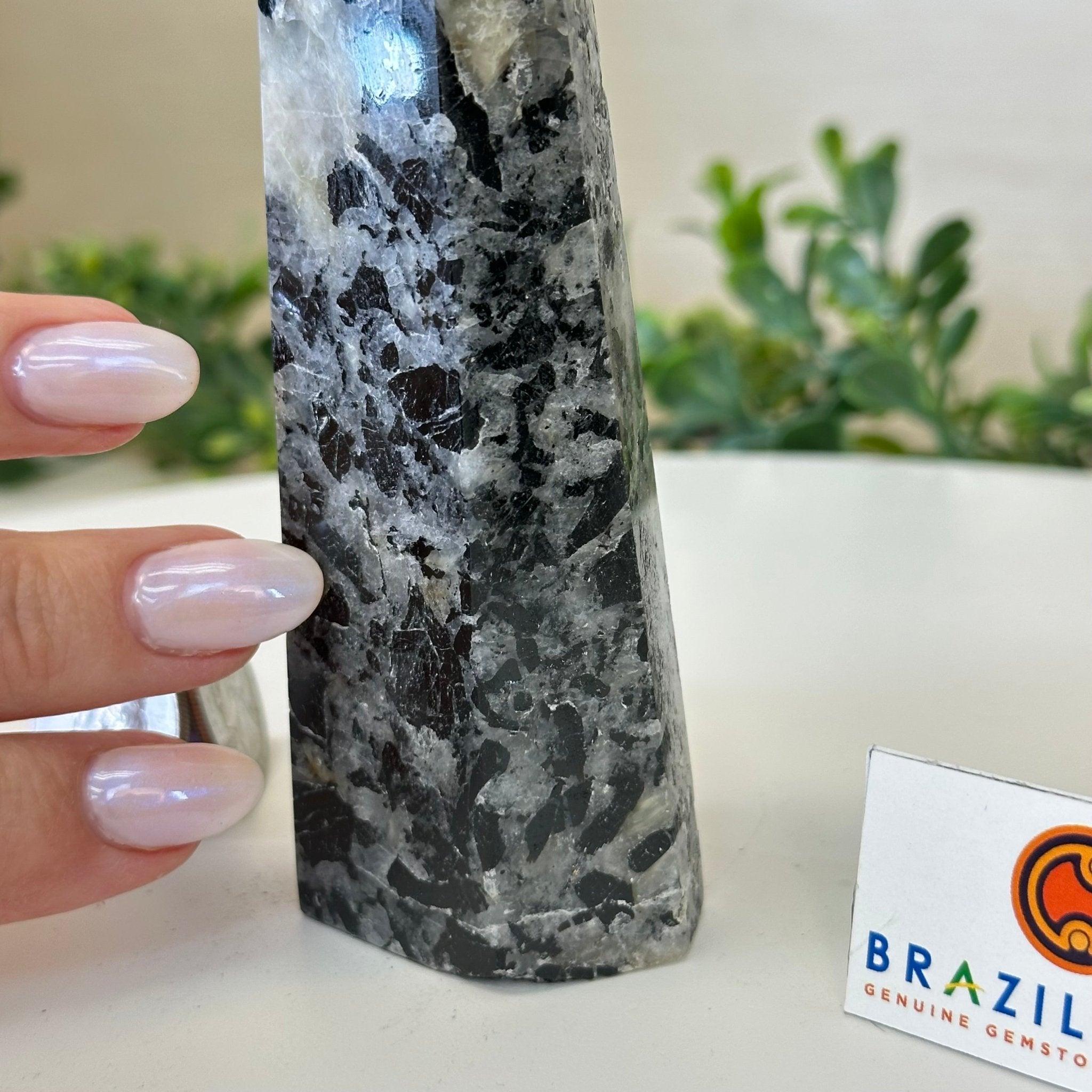 Polished Tourmalinated Quartz Crystal Tower 4.5" Tall Model #3106TQ - 001 - Brazil GemsBrazil GemsPolished Tourmalinated Quartz Crystal Tower 4.5" Tall Model #3106TQ - 001Crystal Points3106TQ - 001