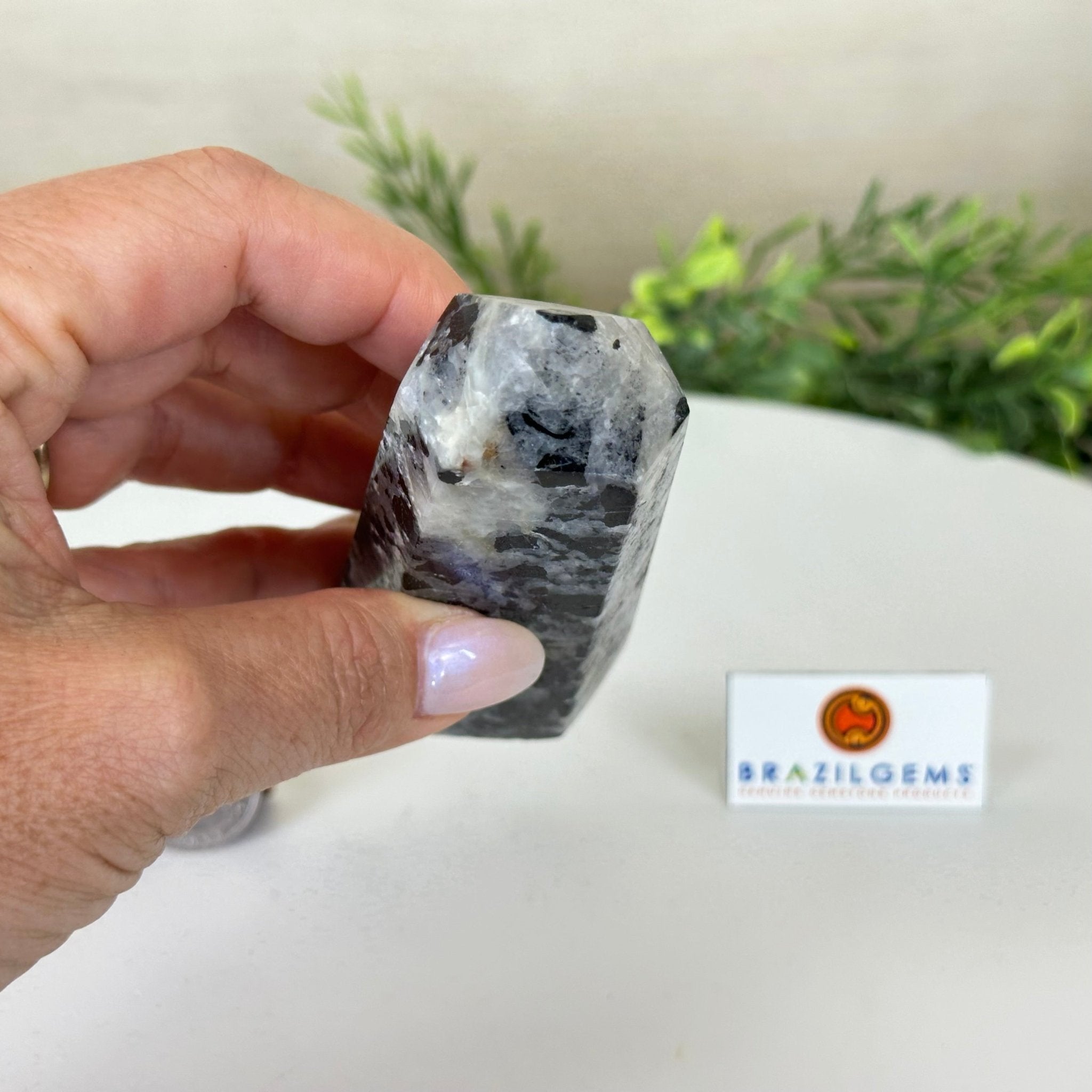 Polished Tourmalinated Quartz Crystal Tower 4.5" Tall Model #3106TQ - 001 - Brazil GemsBrazil GemsPolished Tourmalinated Quartz Crystal Tower 4.5" Tall Model #3106TQ - 001Crystal Points3106TQ - 001