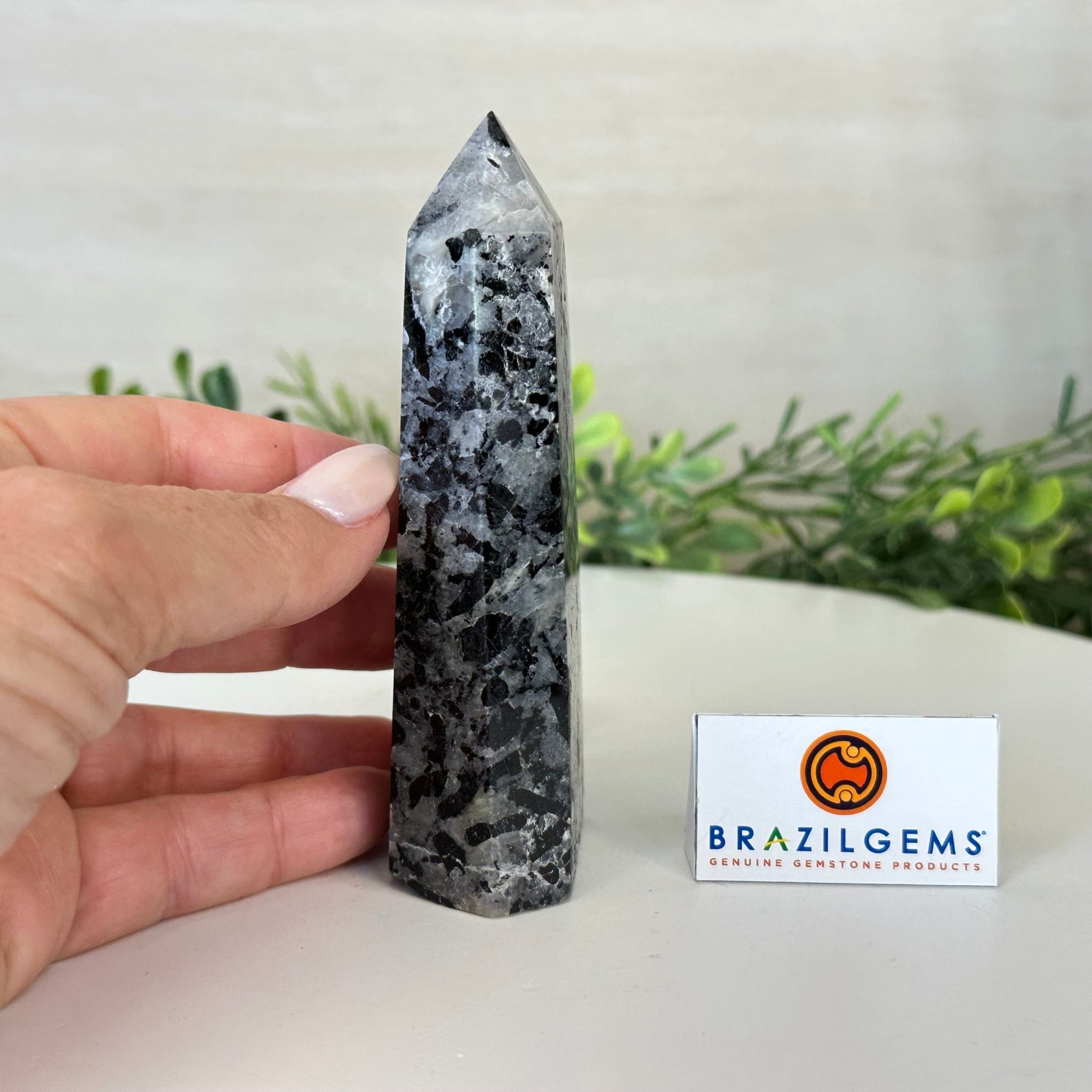 Polished Tourmalinated Quartz Crystal Tower 4.5" Tall Model #3106TQ - 001 - Brazil GemsBrazil GemsPolished Tourmalinated Quartz Crystal Tower 4.5" Tall Model #3106TQ - 001Crystal Points3106TQ - 001