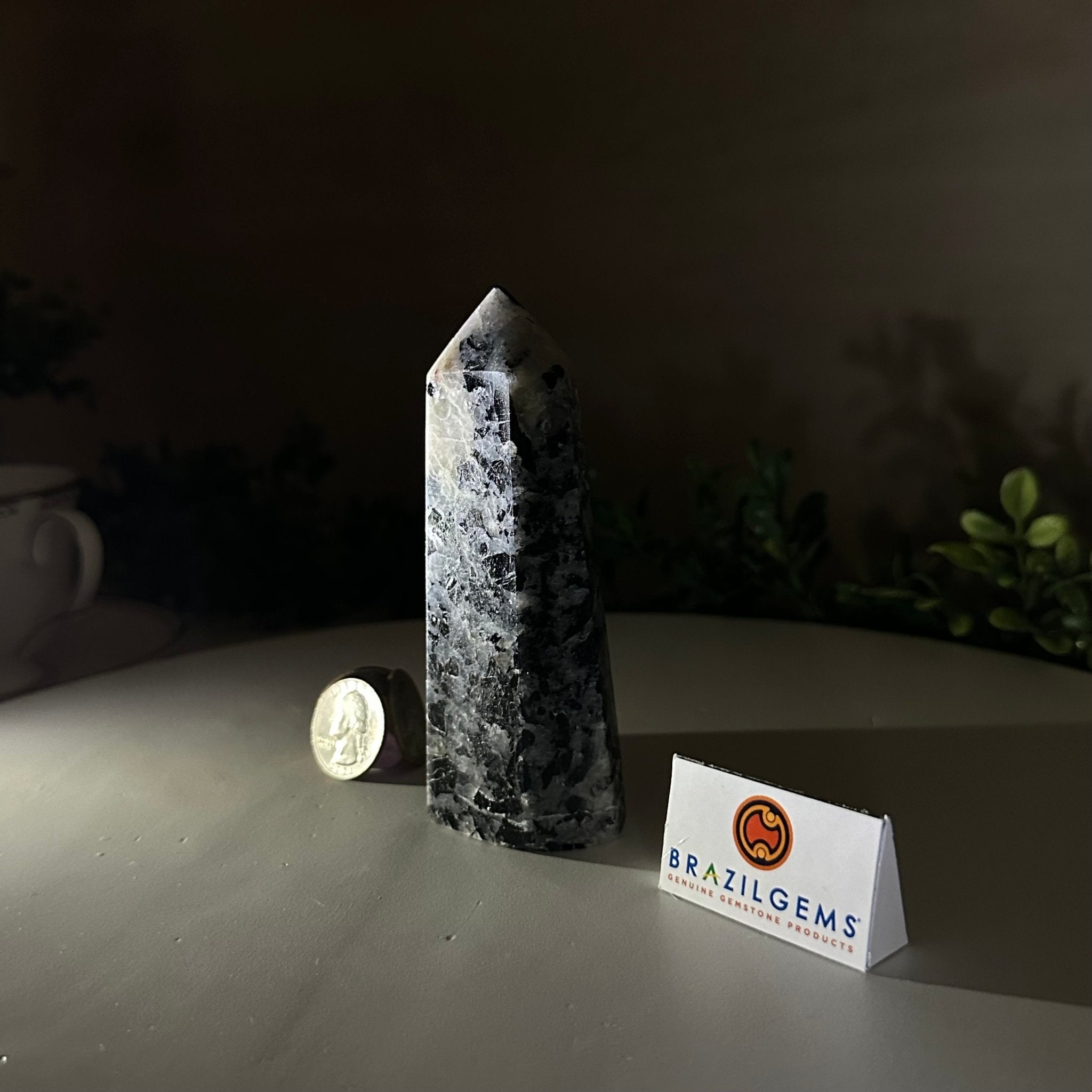 Polished Tourmalinated Quartz Crystal Tower 4.5" Tall Model #3106TQ - 001 - Brazil GemsBrazil GemsPolished Tourmalinated Quartz Crystal Tower 4.5" Tall Model #3106TQ - 001Crystal Points3106TQ - 001
