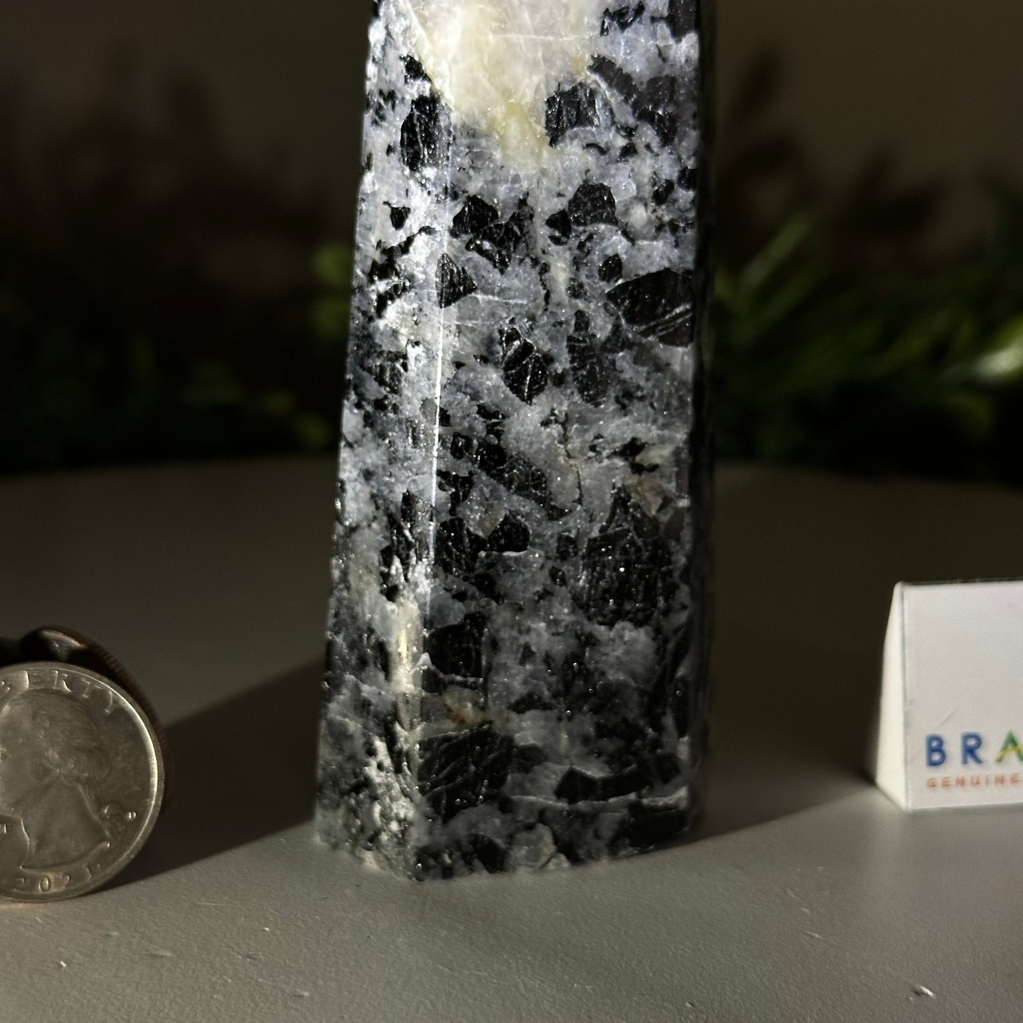 Polished Tourmalinated Quartz Crystal Tower 4.5" Tall Model #3106TQ - 001 - Brazil GemsBrazil GemsPolished Tourmalinated Quartz Crystal Tower 4.5" Tall Model #3106TQ - 001Crystal Points3106TQ - 001