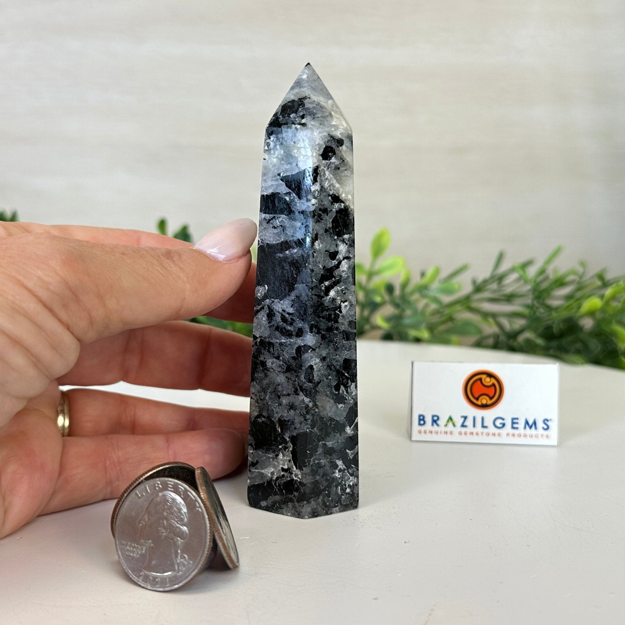 Polished Tourmalinated Quartz Crystal Tower 4.5" Tall Model #3106TQ - 001 - Brazil GemsBrazil GemsPolished Tourmalinated Quartz Crystal Tower 4.5" Tall Model #3106TQ - 001Crystal Points3106TQ - 001