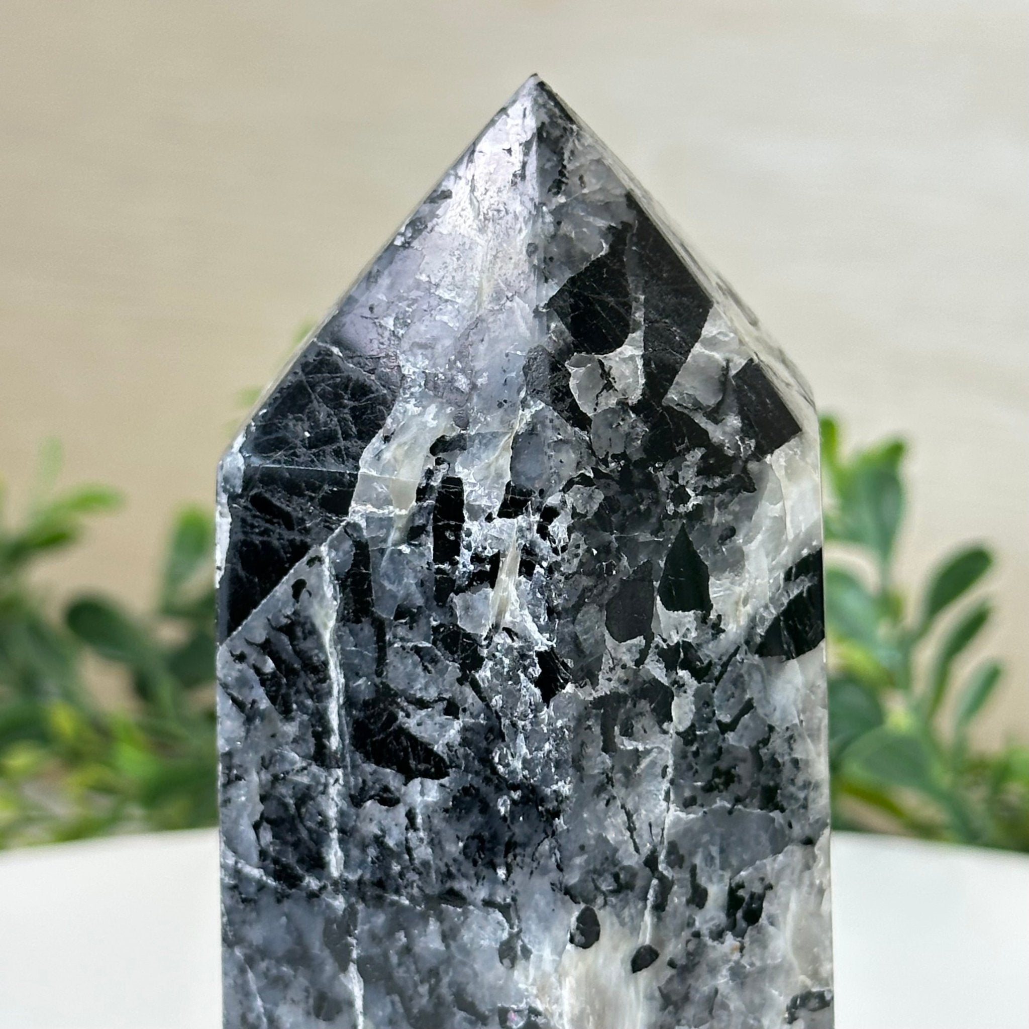 Polished Tourmalinated Quartz Crystal Tower 5.4" Tall #3106TQ - 002 - Brazil GemsBrazil GemsPolished Tourmalinated Quartz Crystal Tower 5.4" Tall #3106TQ - 002Crystal Points3106TQ - 002