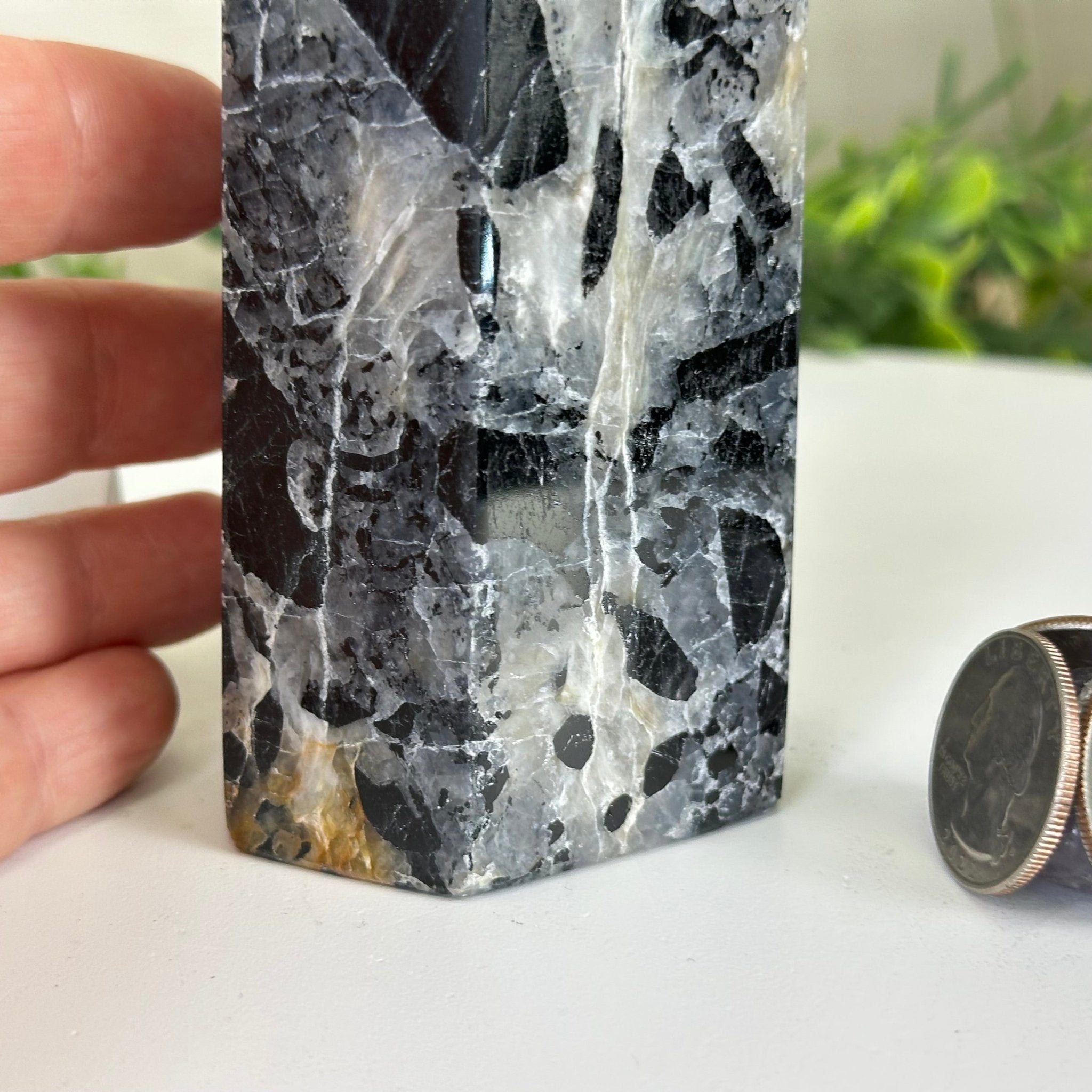 Polished Tourmalinated Quartz Crystal Tower 5.4" Tall #3106TQ - 002 - Brazil GemsBrazil GemsPolished Tourmalinated Quartz Crystal Tower 5.4" Tall #3106TQ - 002Crystal Points3106TQ - 002