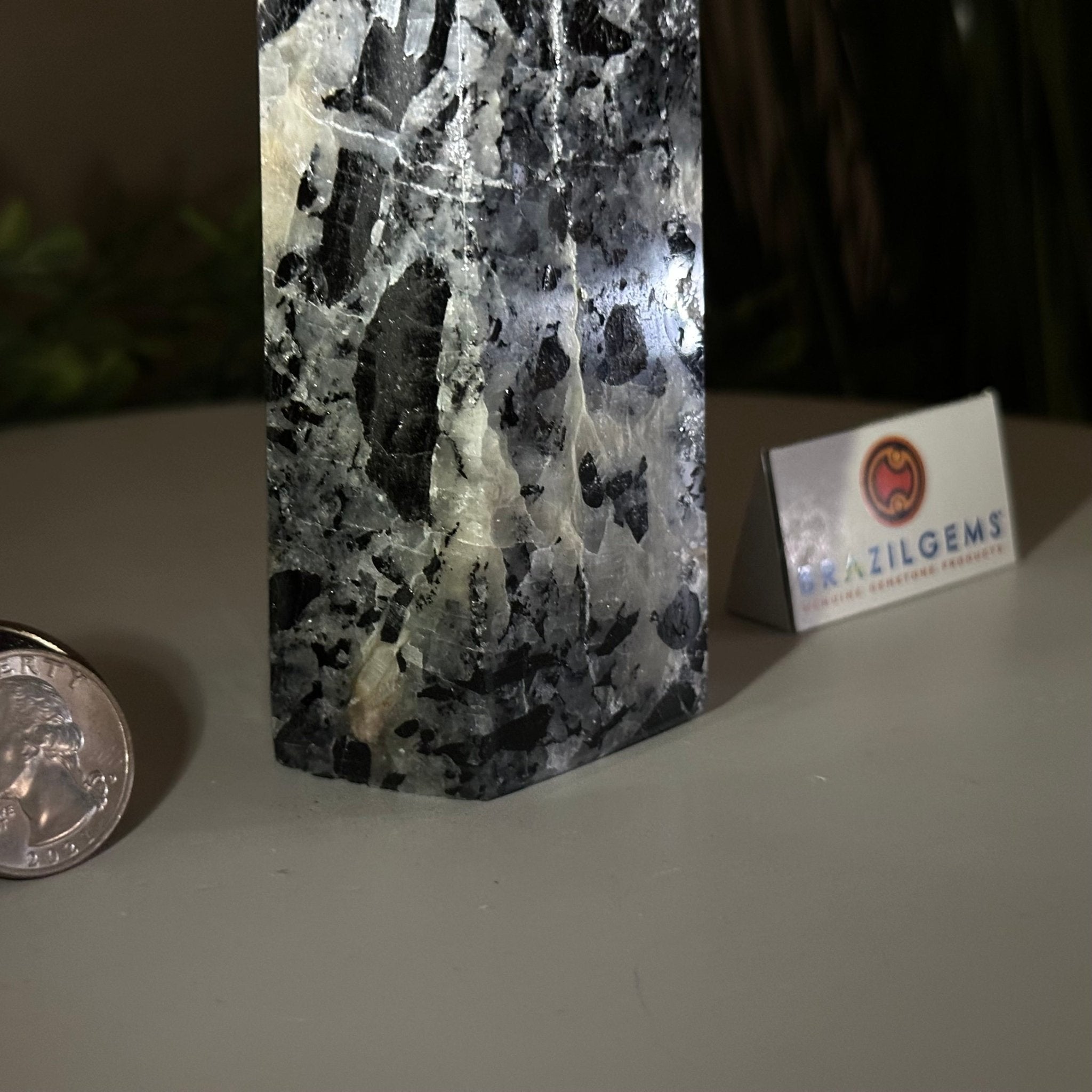 Polished Tourmalinated Quartz Crystal Tower 5.4" Tall #3106TQ - 002 - Brazil GemsBrazil GemsPolished Tourmalinated Quartz Crystal Tower 5.4" Tall #3106TQ - 002Crystal Points3106TQ - 002