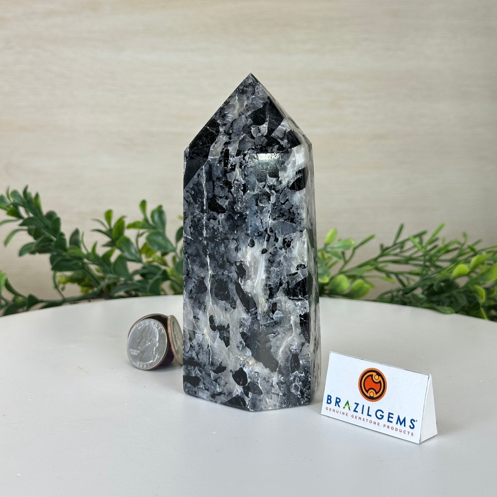 Polished Tourmalinated Quartz Crystal Tower 5.4" Tall #3106TQ - 002 - Brazil GemsBrazil GemsPolished Tourmalinated Quartz Crystal Tower 5.4" Tall #3106TQ - 002Crystal Points3106TQ - 002