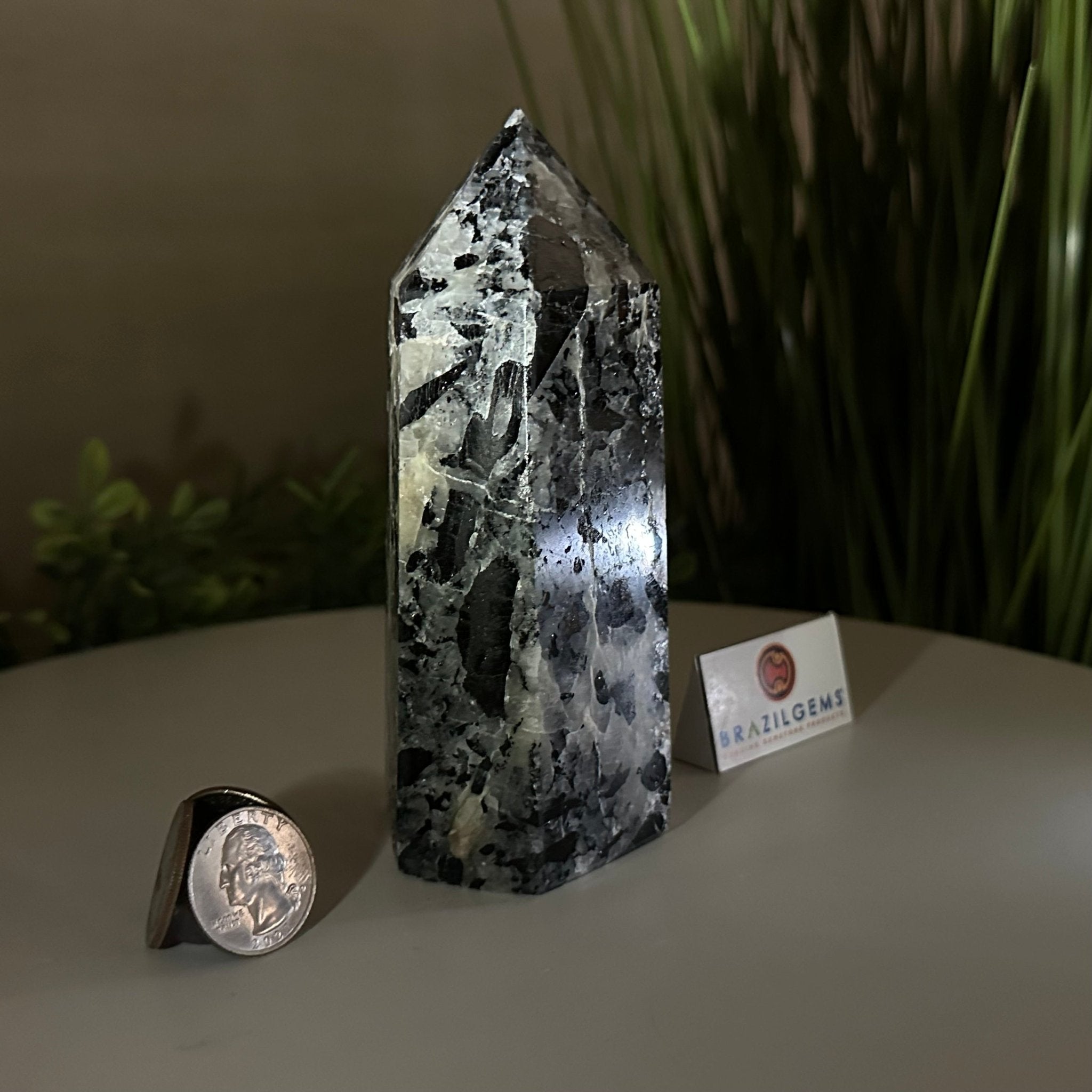 Polished Tourmalinated Quartz Crystal Tower 5.4" Tall #3106TQ - 002 - Brazil GemsBrazil GemsPolished Tourmalinated Quartz Crystal Tower 5.4" Tall #3106TQ - 002Crystal Points3106TQ - 002