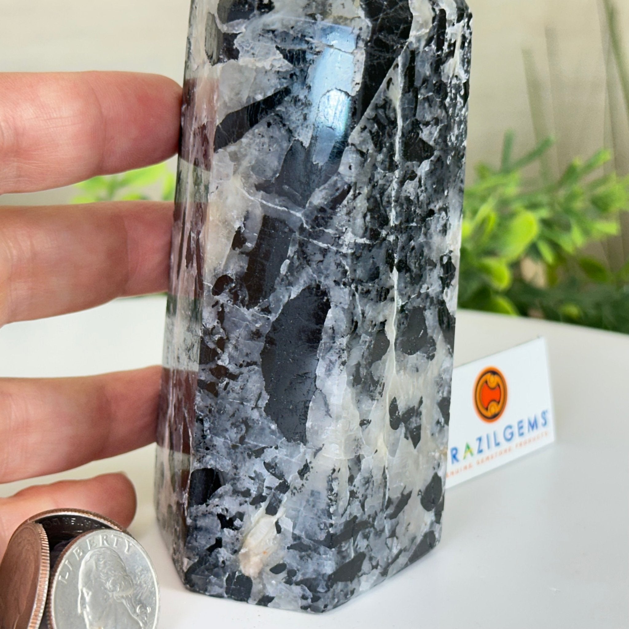Polished Tourmalinated Quartz Crystal Tower 5.4" Tall #3106TQ - 002 - Brazil GemsBrazil GemsPolished Tourmalinated Quartz Crystal Tower 5.4" Tall #3106TQ - 002Crystal Points3106TQ - 002