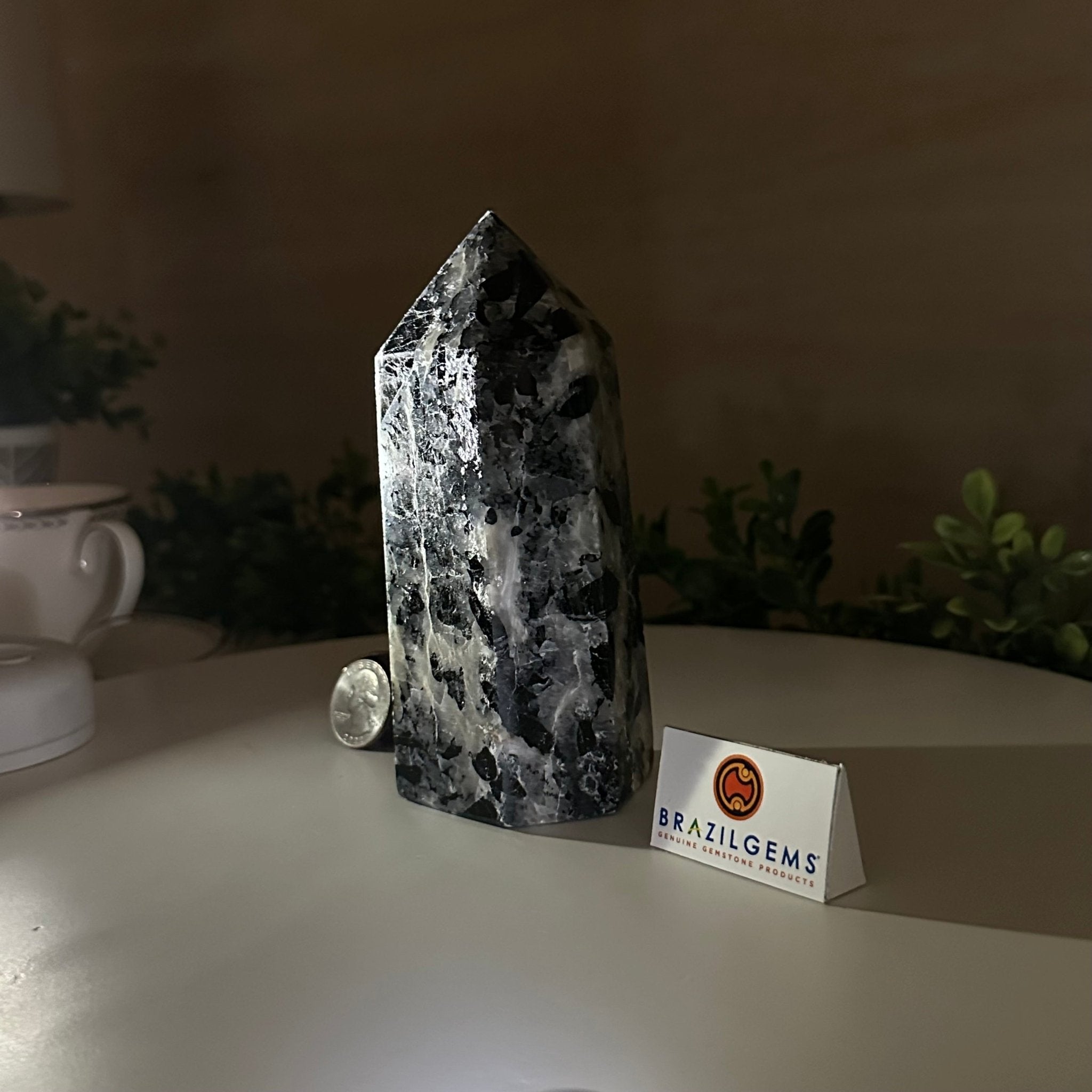 Polished Tourmalinated Quartz Crystal Tower 5.4" Tall #3106TQ - 002 - Brazil GemsBrazil GemsPolished Tourmalinated Quartz Crystal Tower 5.4" Tall #3106TQ - 002Crystal Points3106TQ - 002