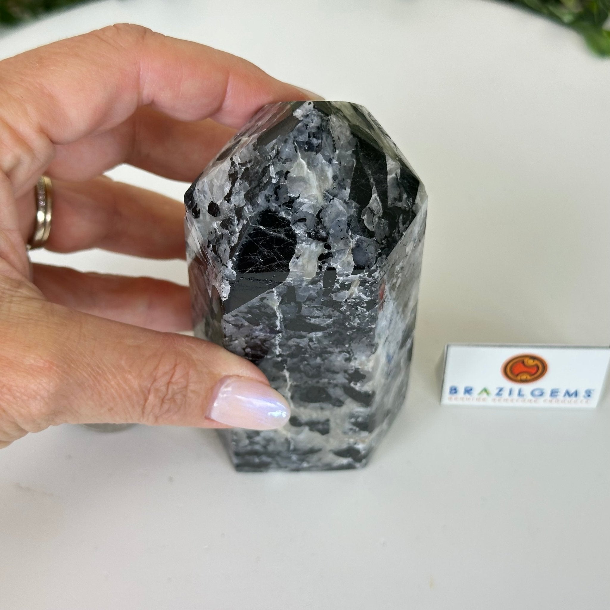 Polished Tourmalinated Quartz Crystal Tower 5.4" Tall #3106TQ - 002 - Brazil GemsBrazil GemsPolished Tourmalinated Quartz Crystal Tower 5.4" Tall #3106TQ - 002Crystal Points3106TQ - 002