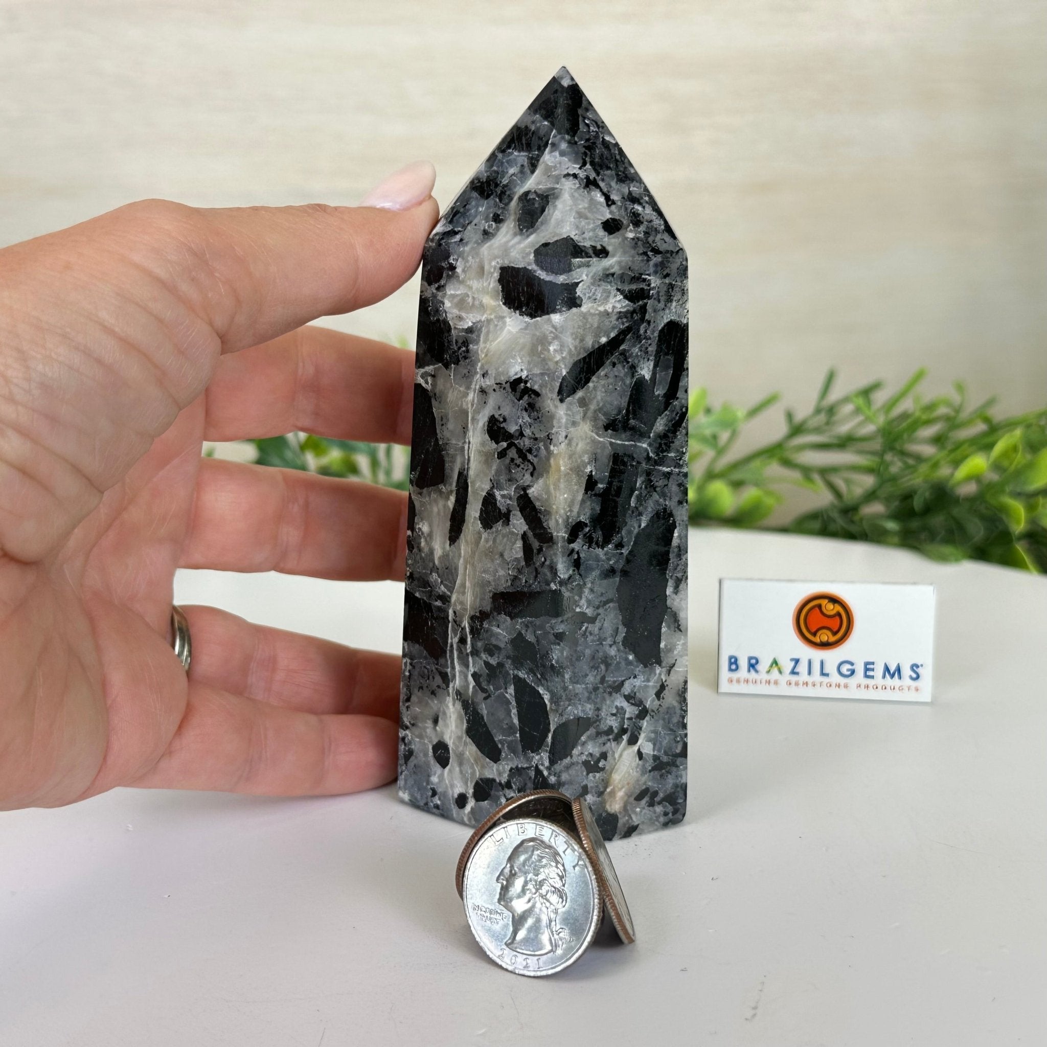 Polished Tourmalinated Quartz Crystal Tower 5.4" Tall #3106TQ - 002 - Brazil GemsBrazil GemsPolished Tourmalinated Quartz Crystal Tower 5.4" Tall #3106TQ - 002Crystal Points3106TQ - 002