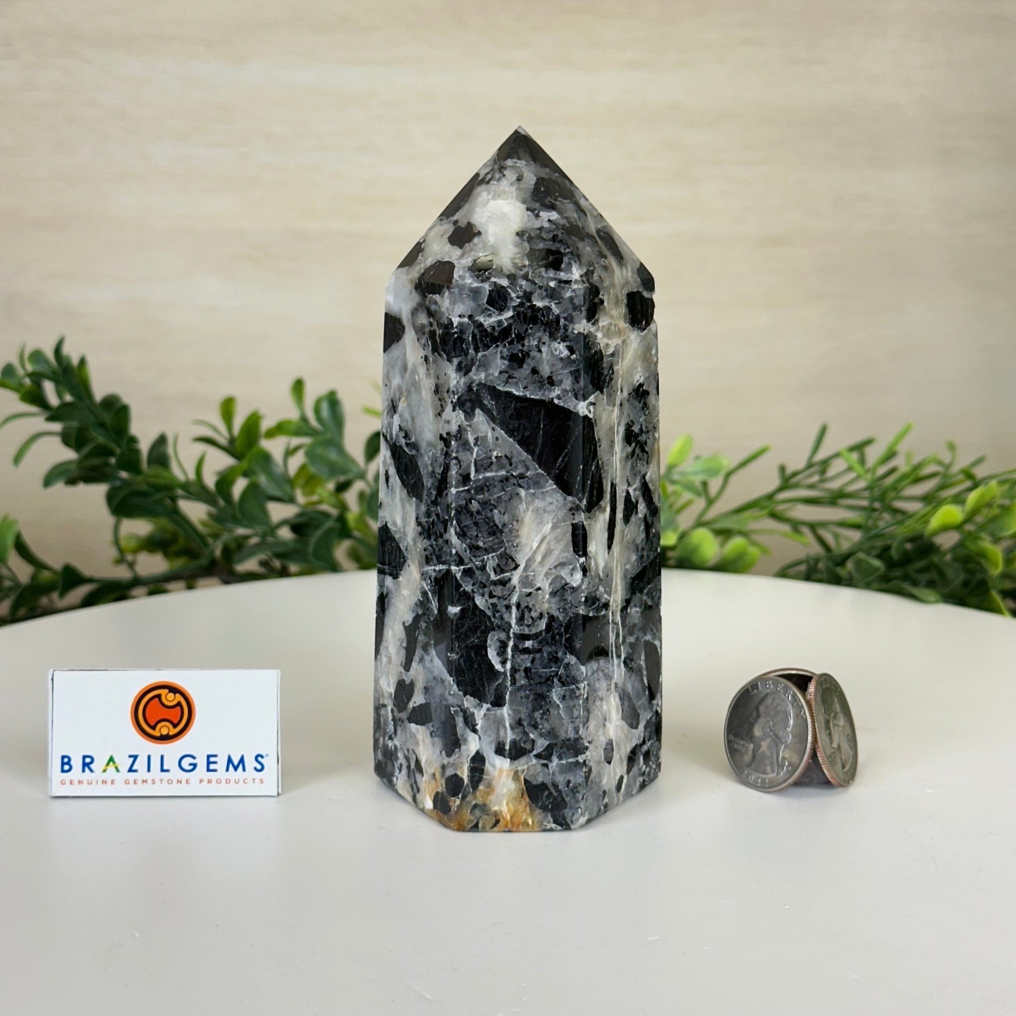 Polished Tourmalinated Quartz Crystal Tower 5.4" Tall #3106TQ - 002 - Brazil GemsBrazil GemsPolished Tourmalinated Quartz Crystal Tower 5.4" Tall #3106TQ - 002Crystal Points3106TQ - 002