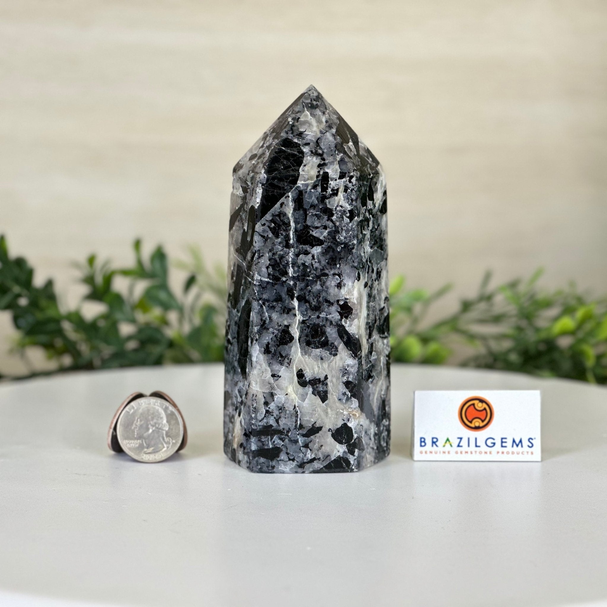 Polished Tourmalinated Quartz Crystal Tower 5.4" Tall #3106TQ - 002 - Brazil GemsBrazil GemsPolished Tourmalinated Quartz Crystal Tower 5.4" Tall #3106TQ - 002Crystal Points3106TQ - 002