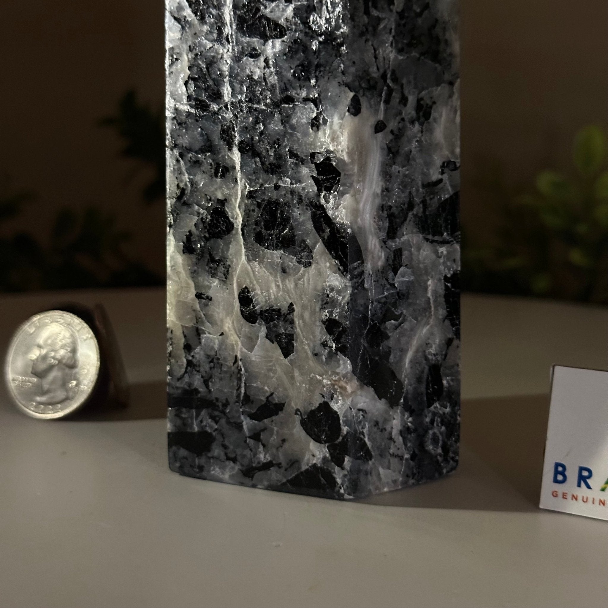 Polished Tourmalinated Quartz Crystal Tower 5.4" Tall #3106TQ - 002 - Brazil GemsBrazil GemsPolished Tourmalinated Quartz Crystal Tower 5.4" Tall #3106TQ - 002Crystal Points3106TQ - 002
