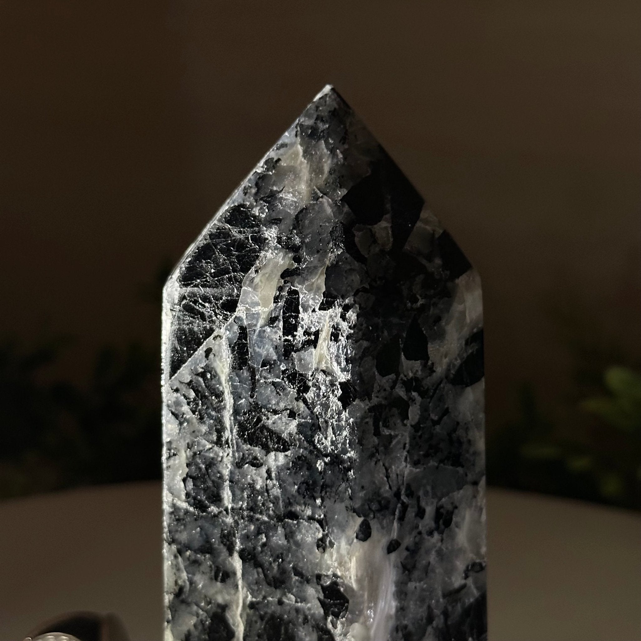 Polished Tourmalinated Quartz Crystal Tower 5.4" Tall #3106TQ - 002 - Brazil GemsBrazil GemsPolished Tourmalinated Quartz Crystal Tower 5.4" Tall #3106TQ - 002Crystal Points3106TQ - 002