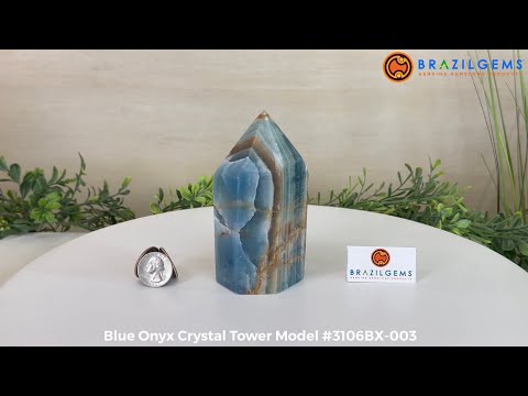 oyoynos_11 Volume 11 | Sousei no Onmyouji - Twin Star Exorcists Wikia | Fandom