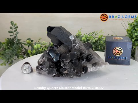 Smoky Quartz Crystal Cluster For Sale by Brazil Gems® #5702-0007